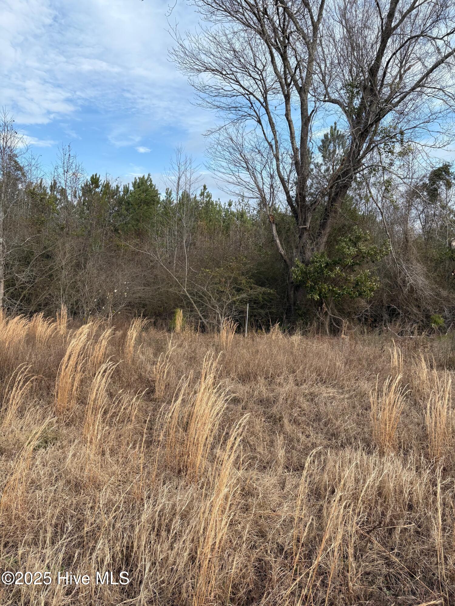 100532071 | Photo 15