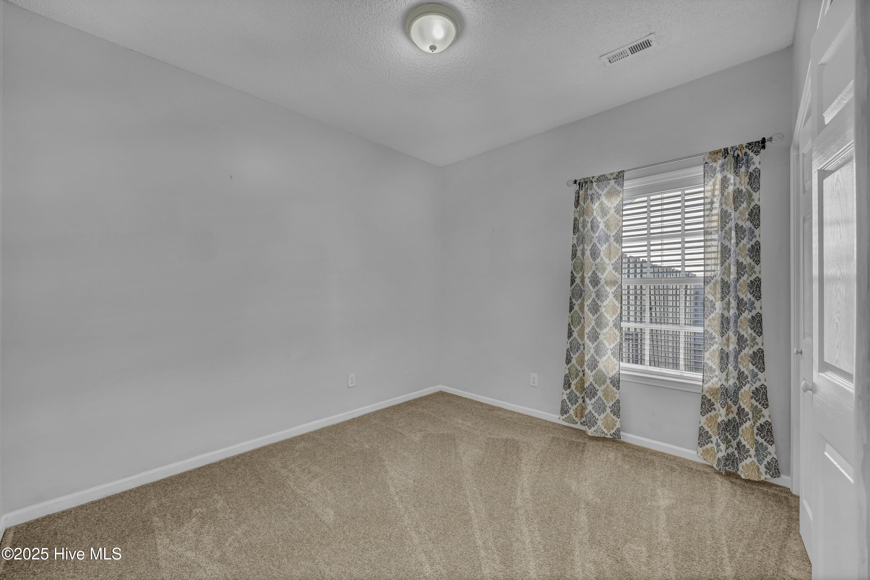 100540259 | Photo 15