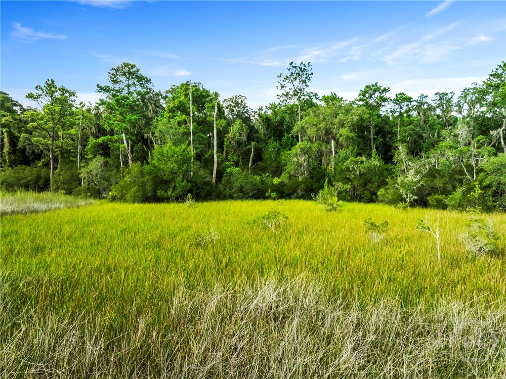 Lot view from Marsh Side