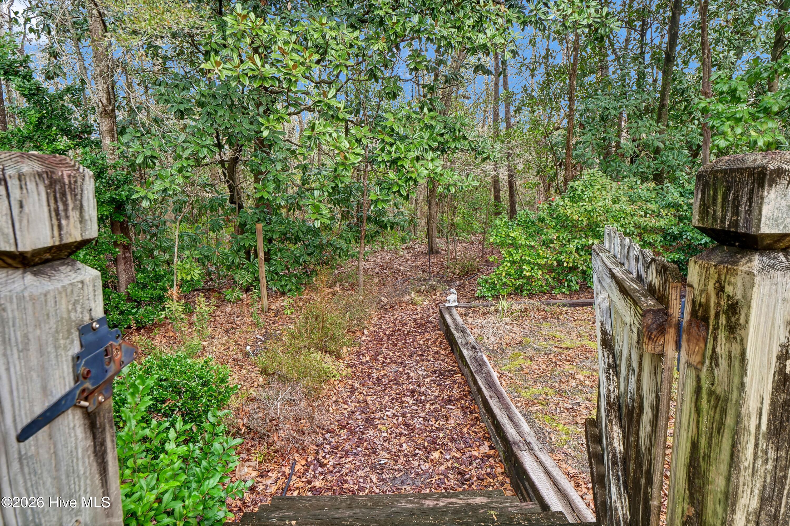 100554854 | Photo 26