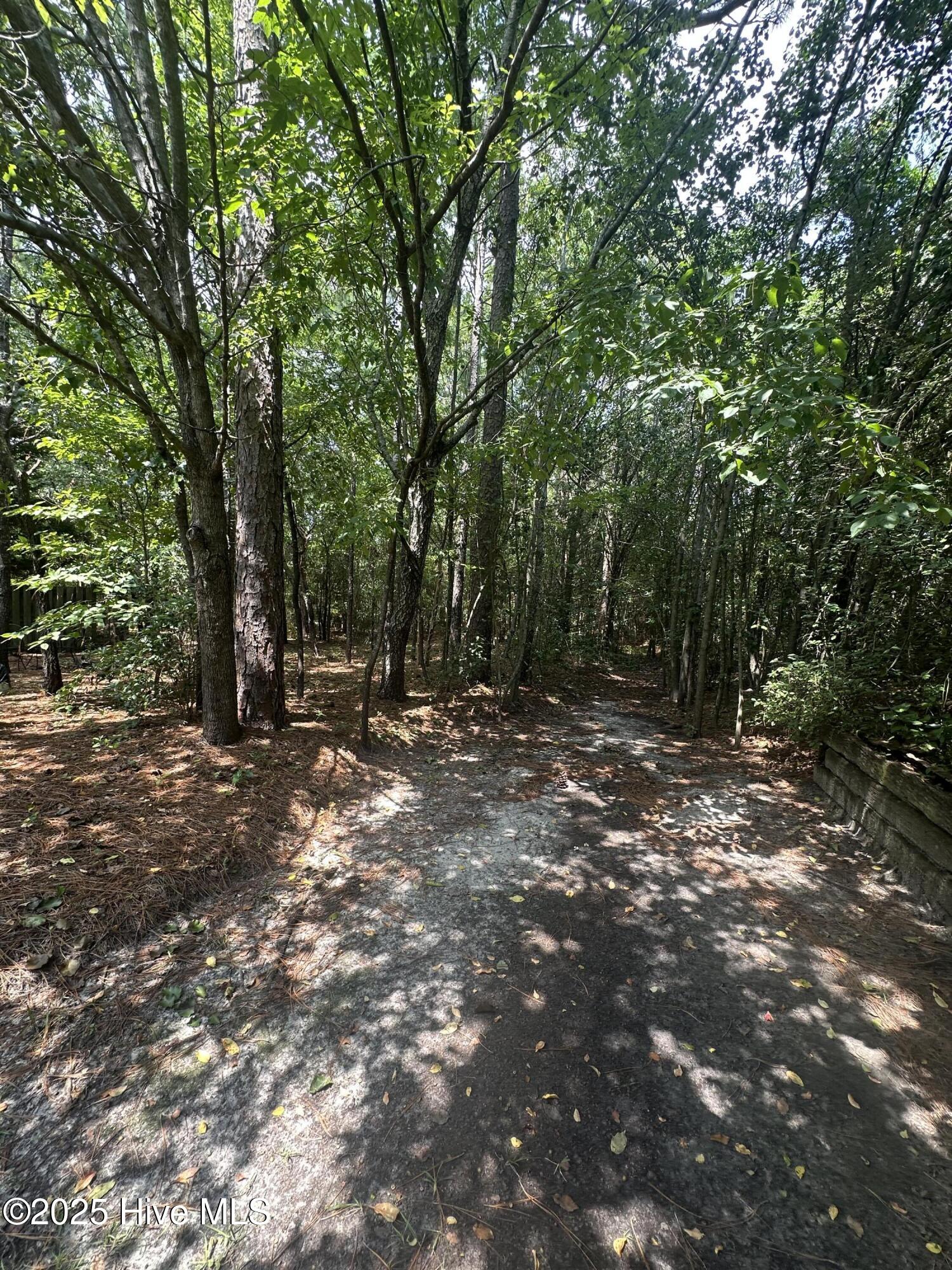 100526280 | Photo 44