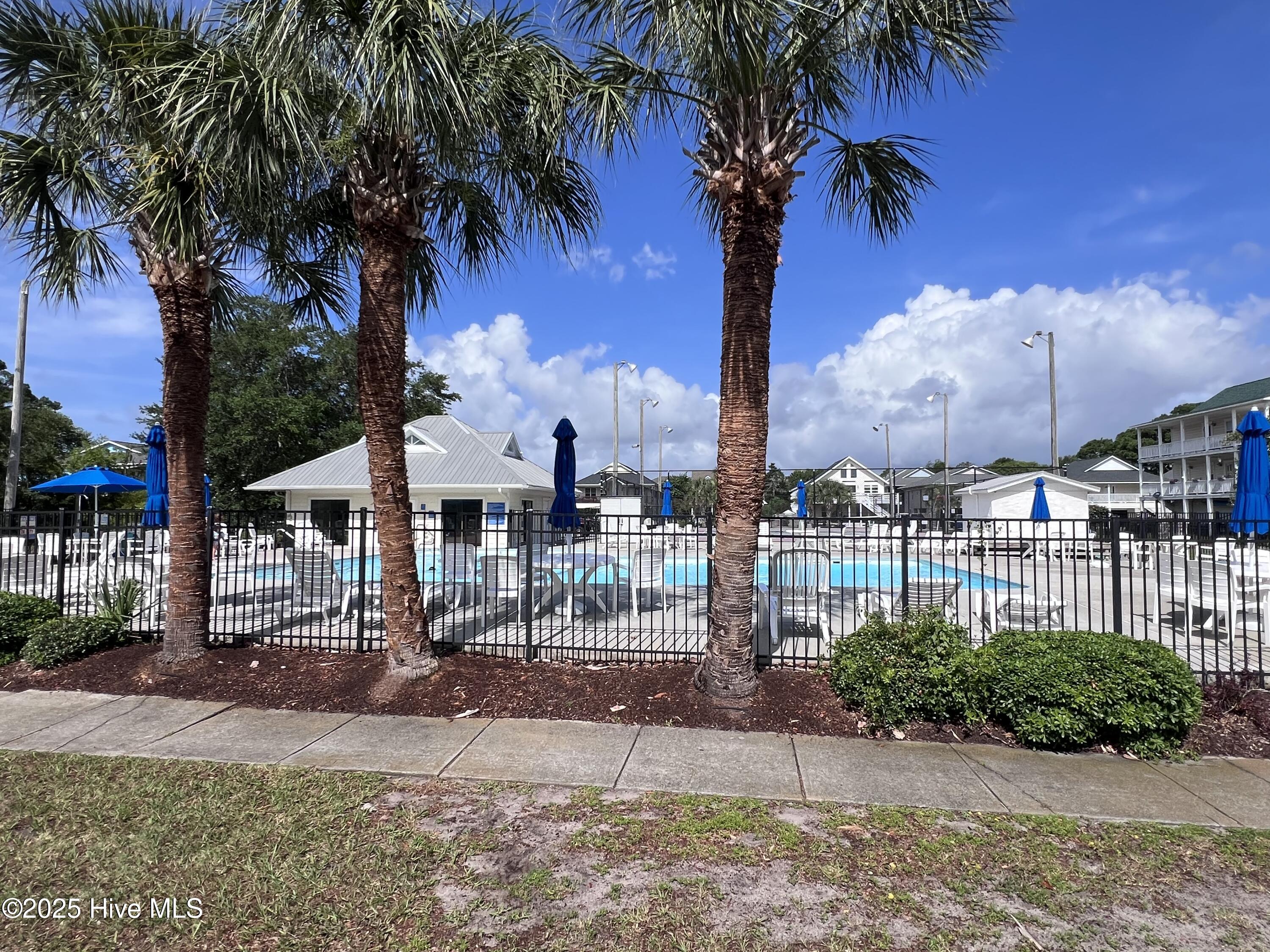 100519287 | Photo 39