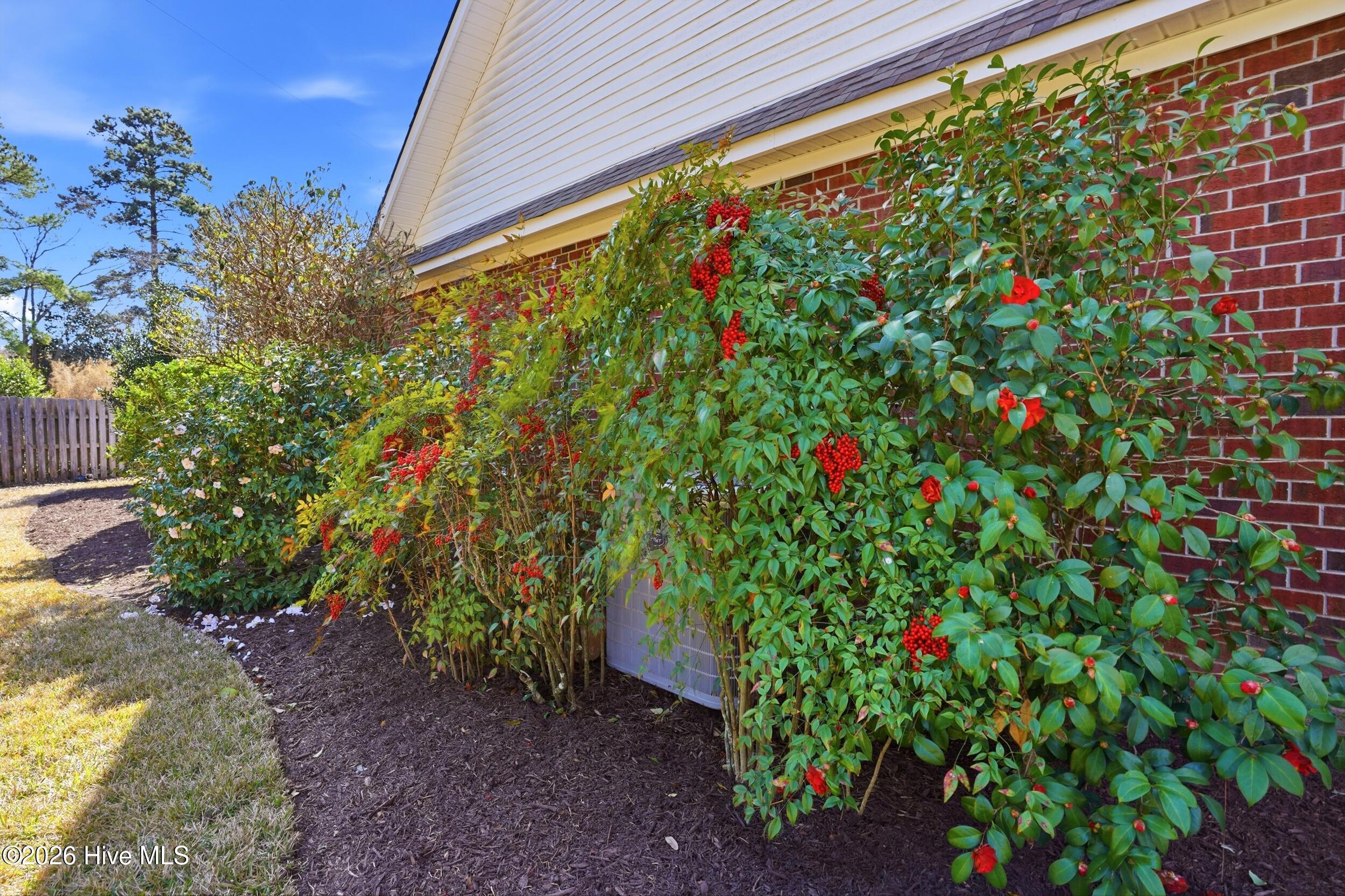 100556921 | Photo 48