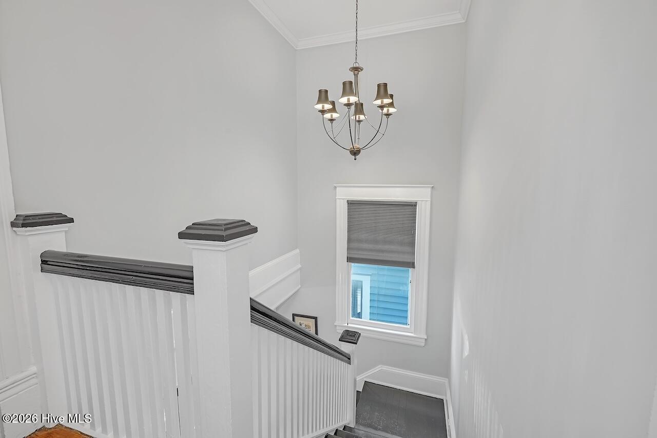 100560028 | Photo 24