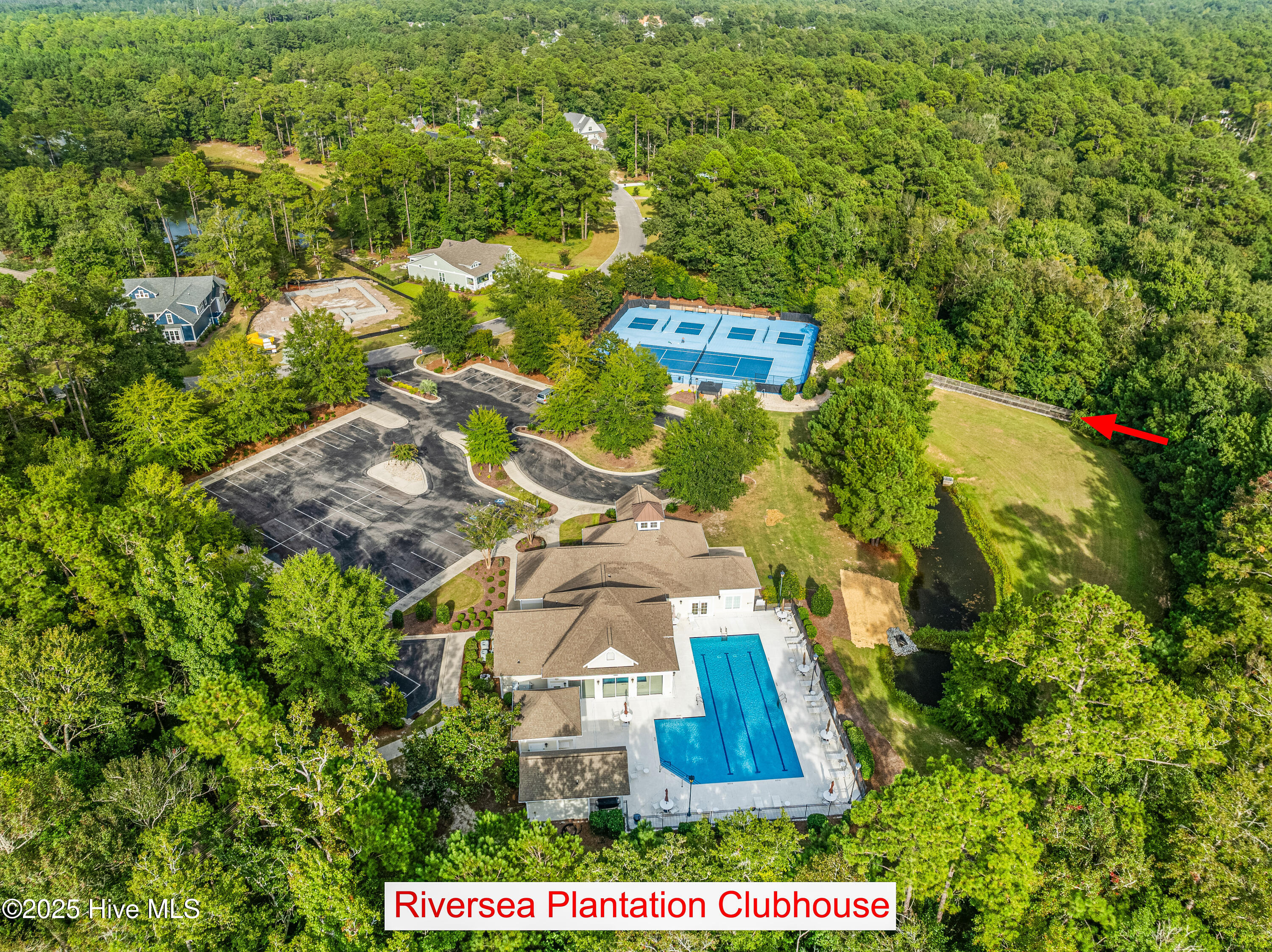 100532334 | Photo 65