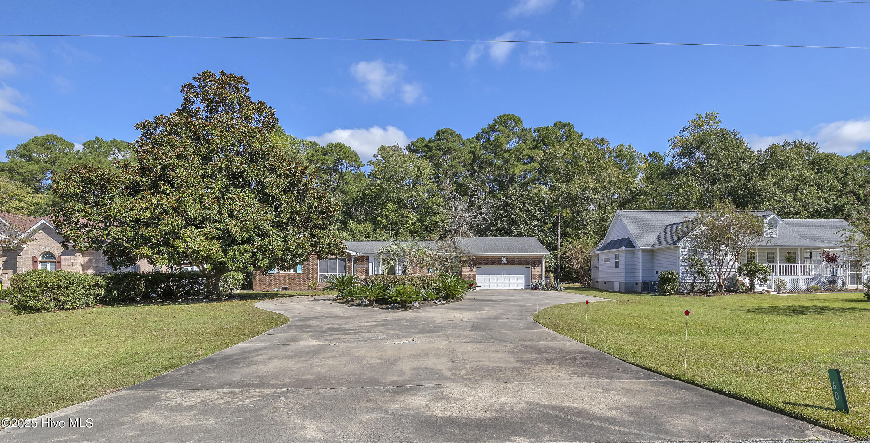 100536846 | Photo 51