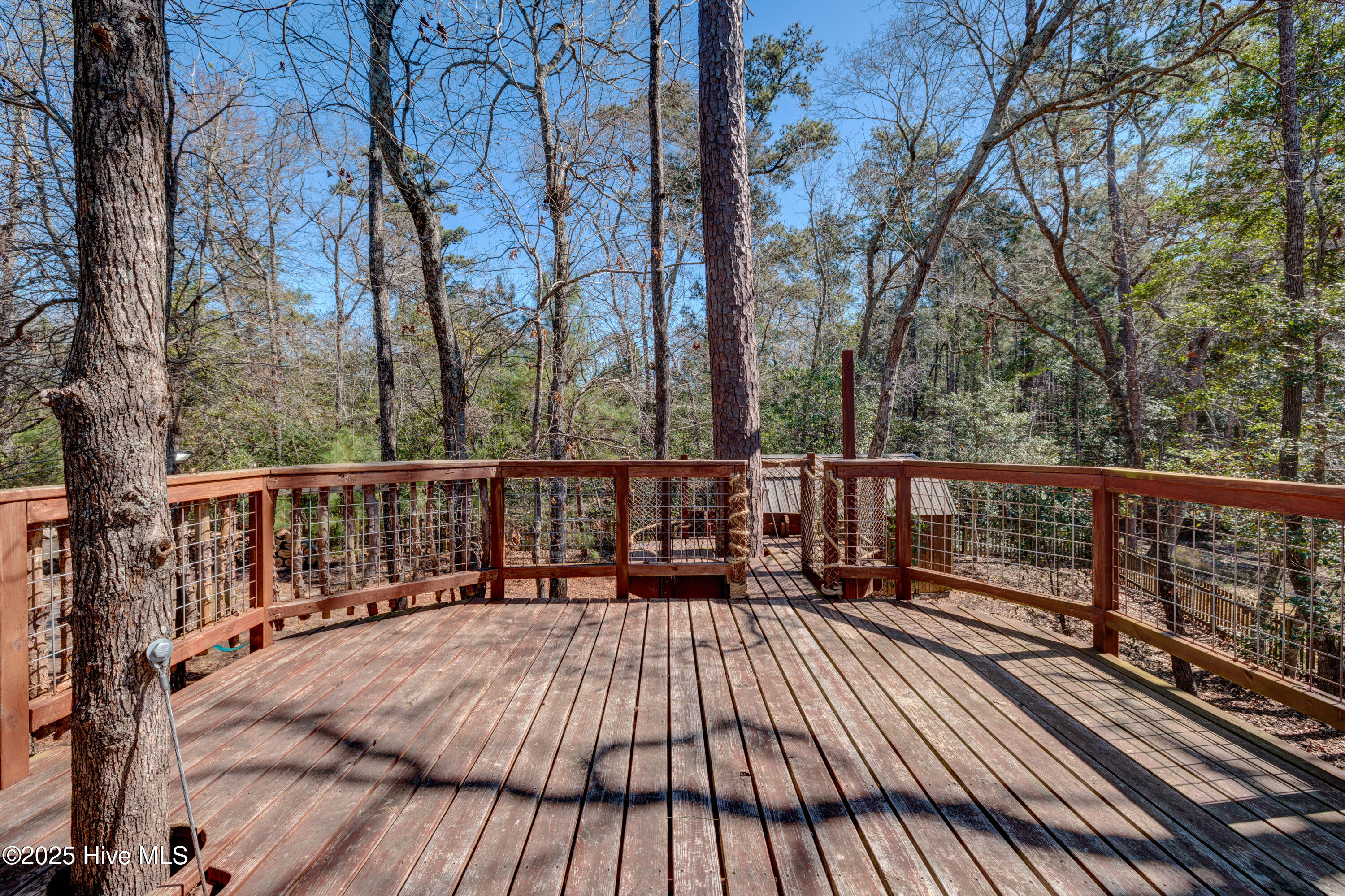 100496540 | Photo 79