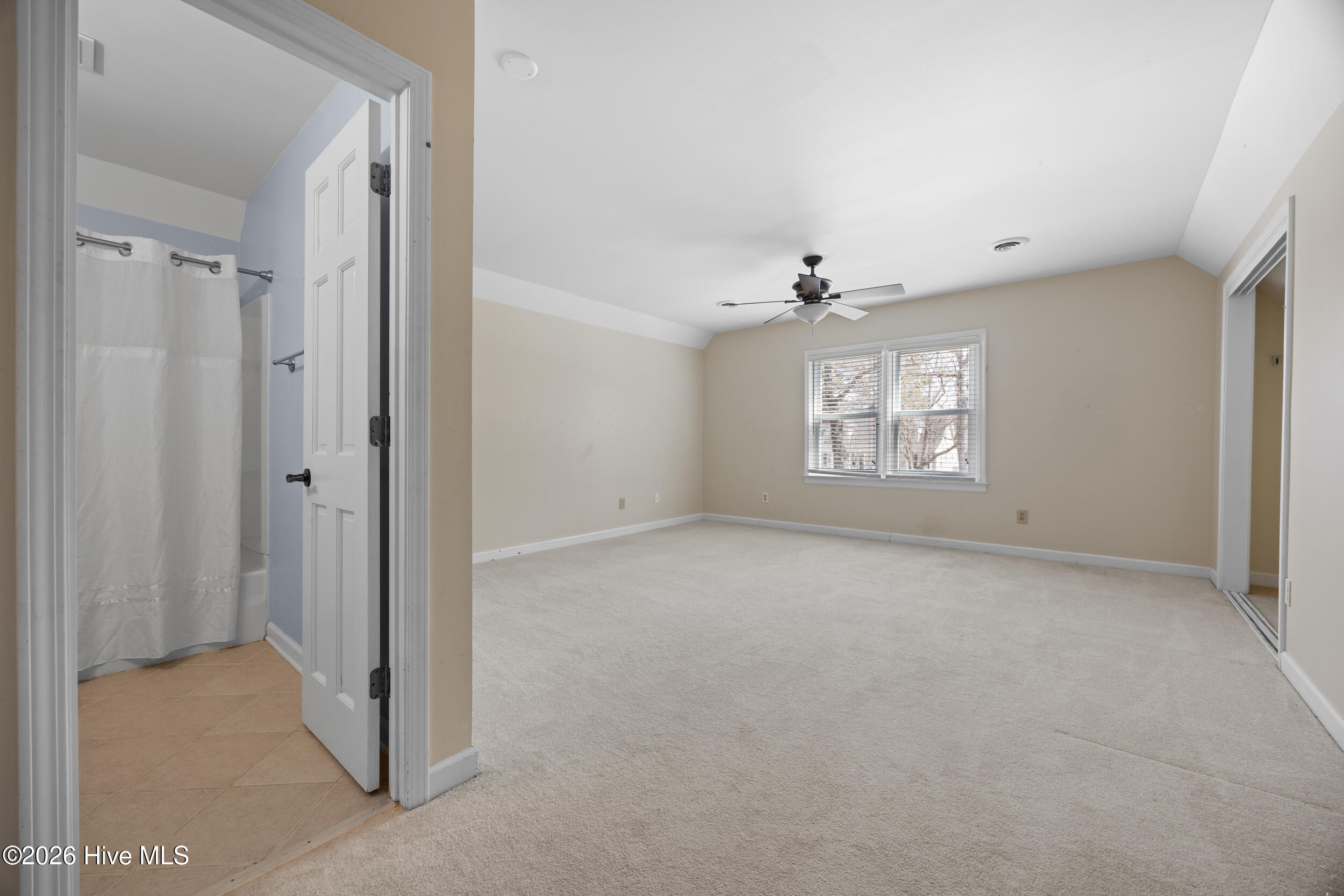 100558264 | Photo 31