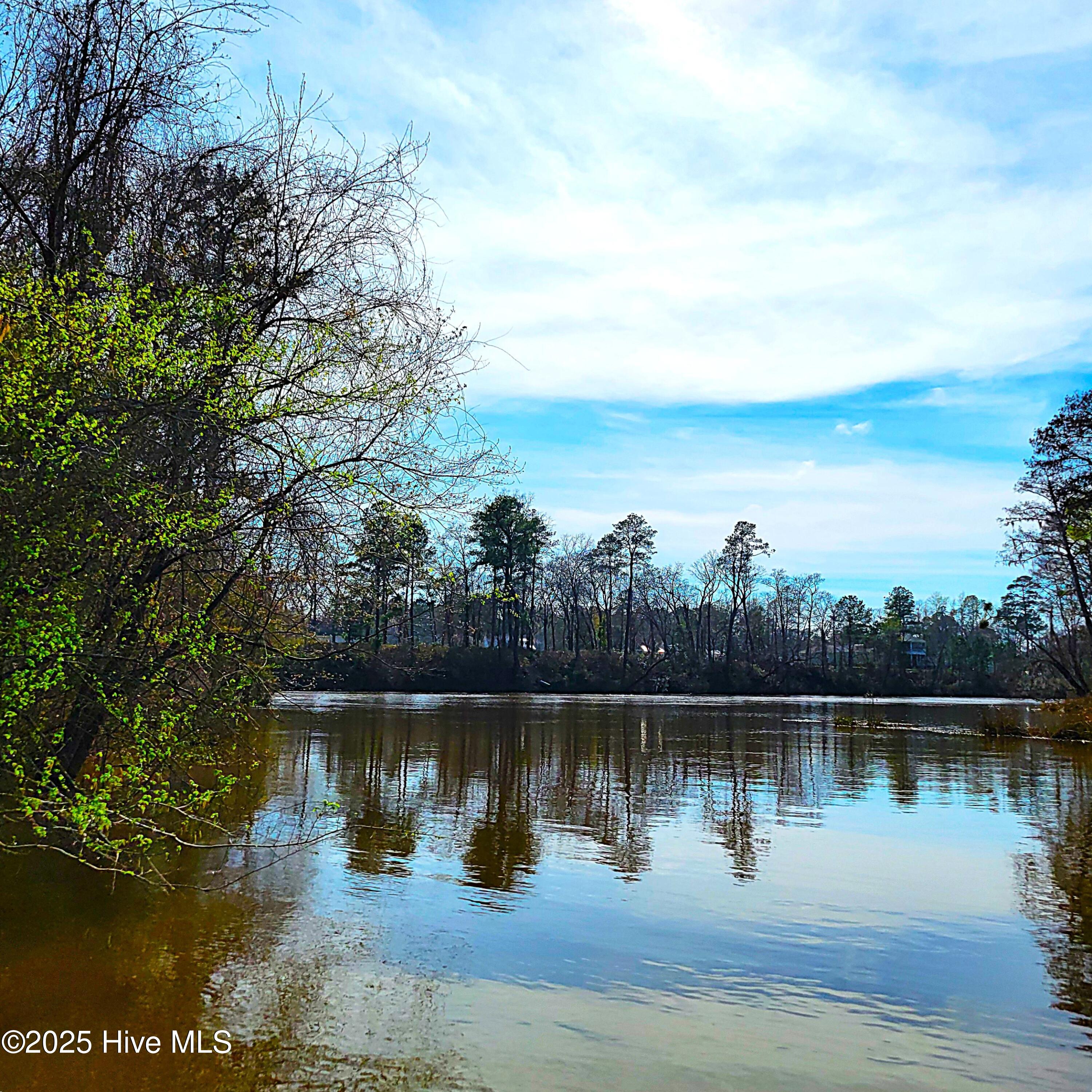 100496184 | Photo 31