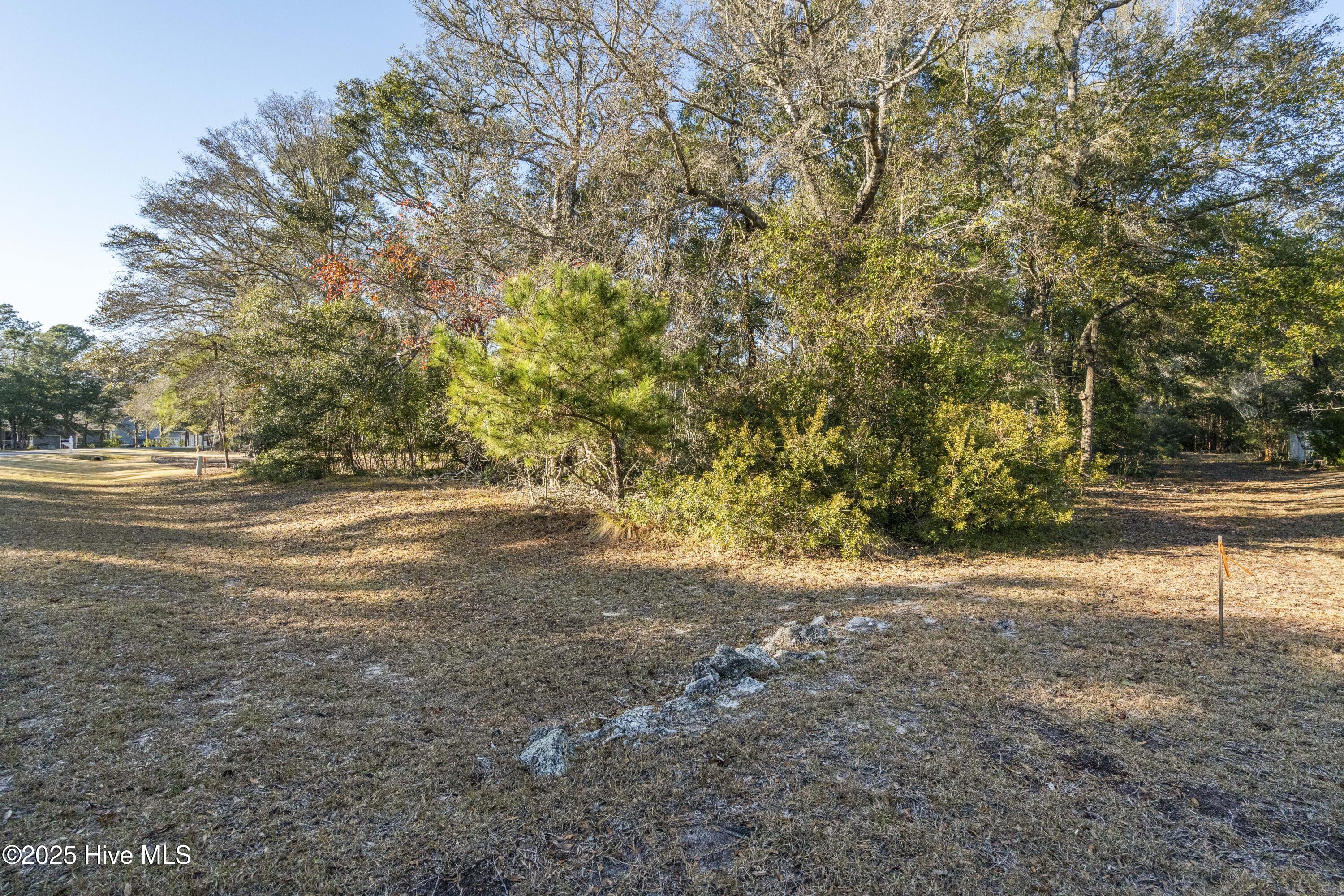 100545322 | Photo 11