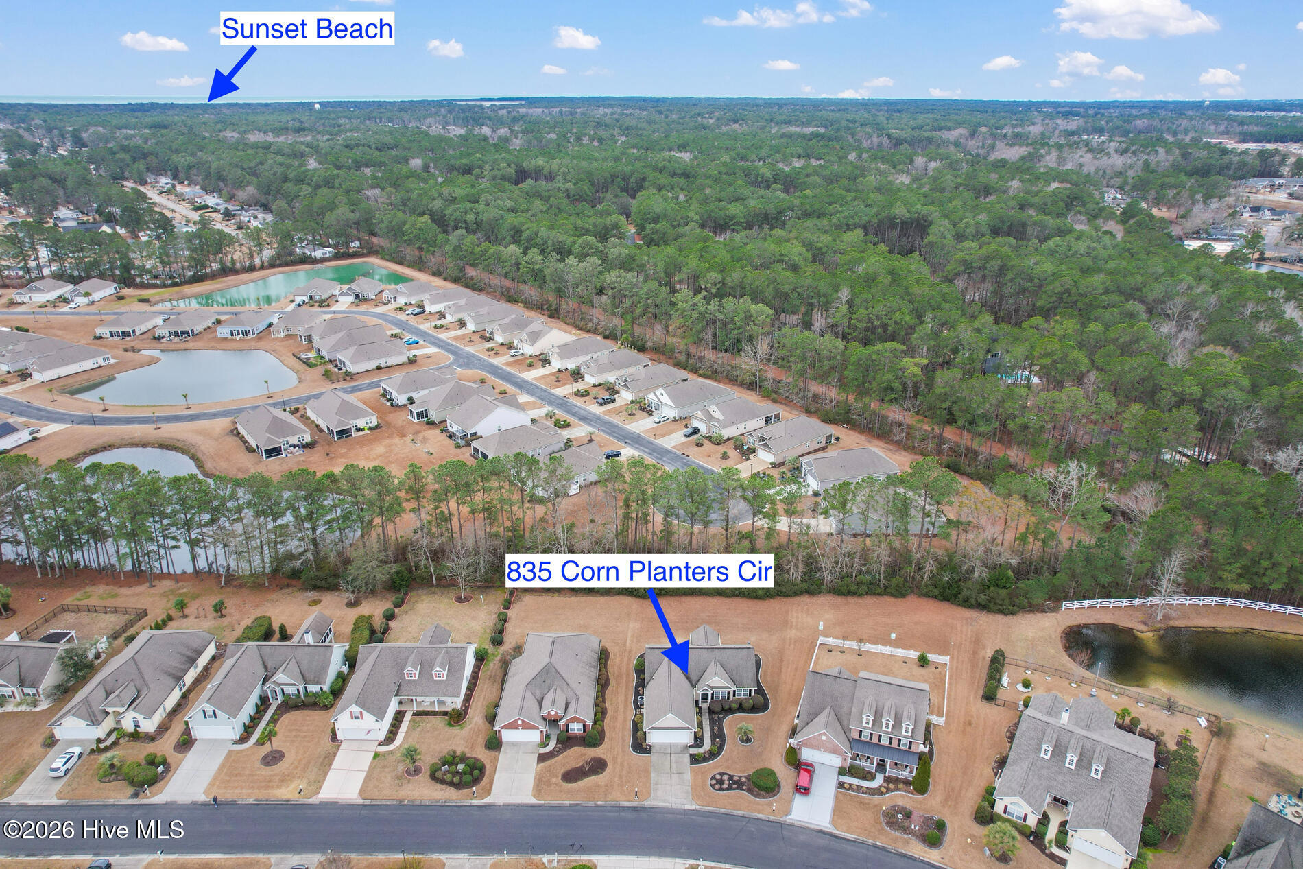 100555398 | Photo 36