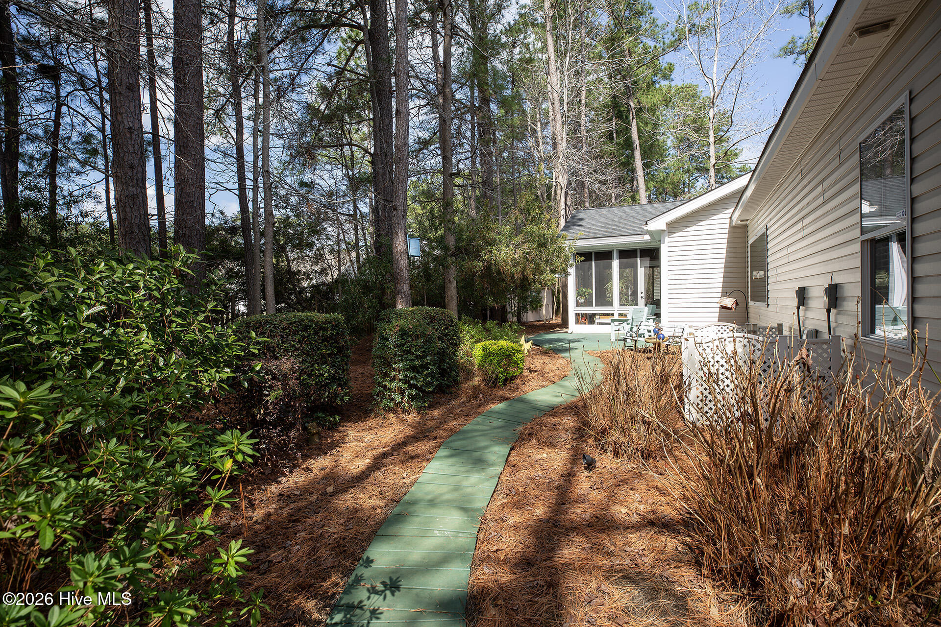 100558971 | Photo 44