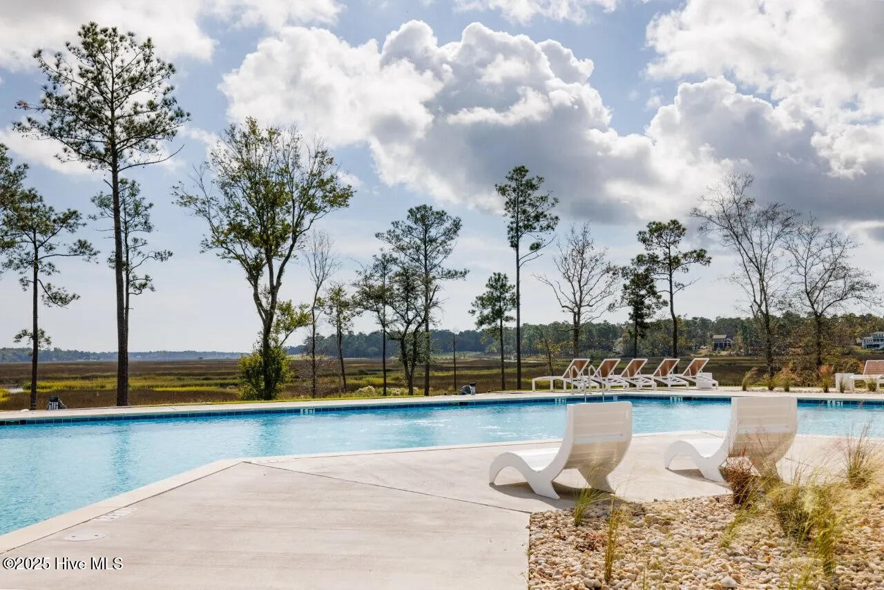 100539902 | Photo 17