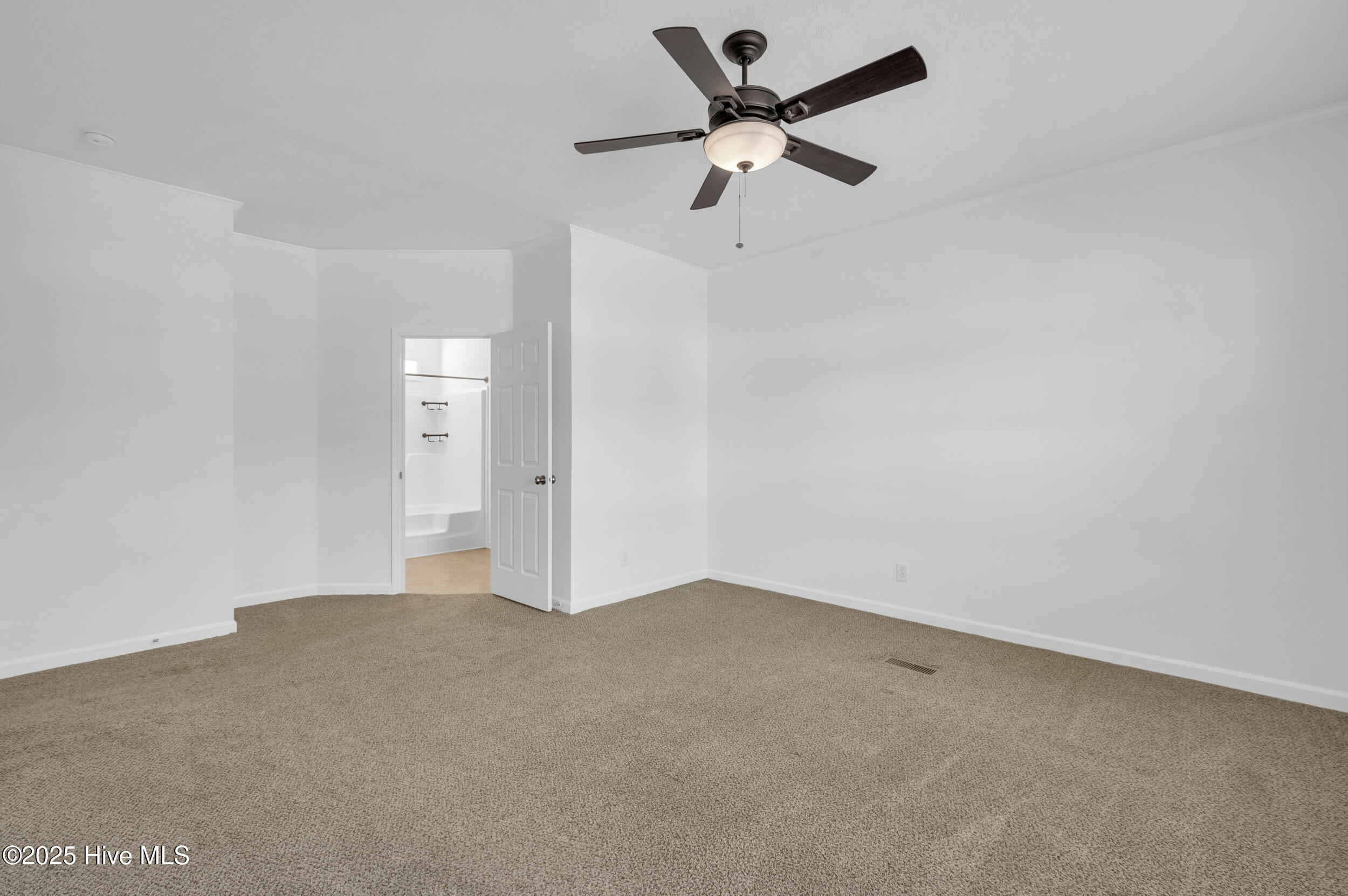 100539826 | Photo 19