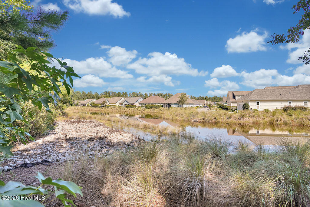 100565235 | Photo 152