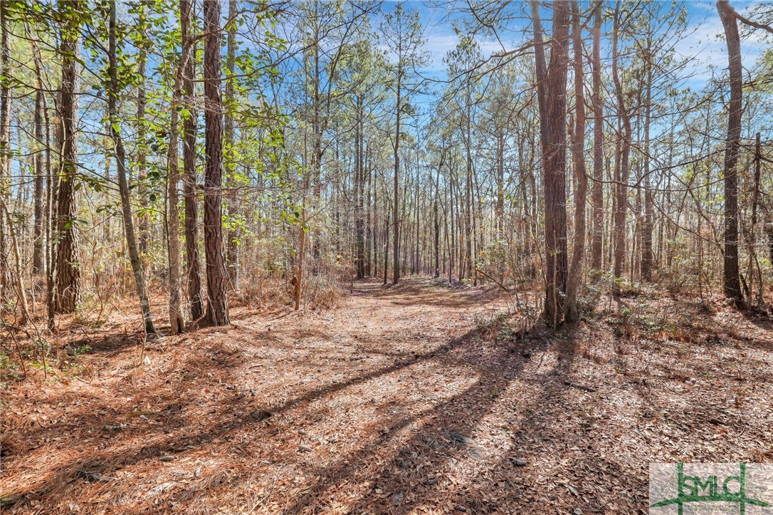 430 Squirrel Run, Rincon, GA 31326 Listing Photo  41
