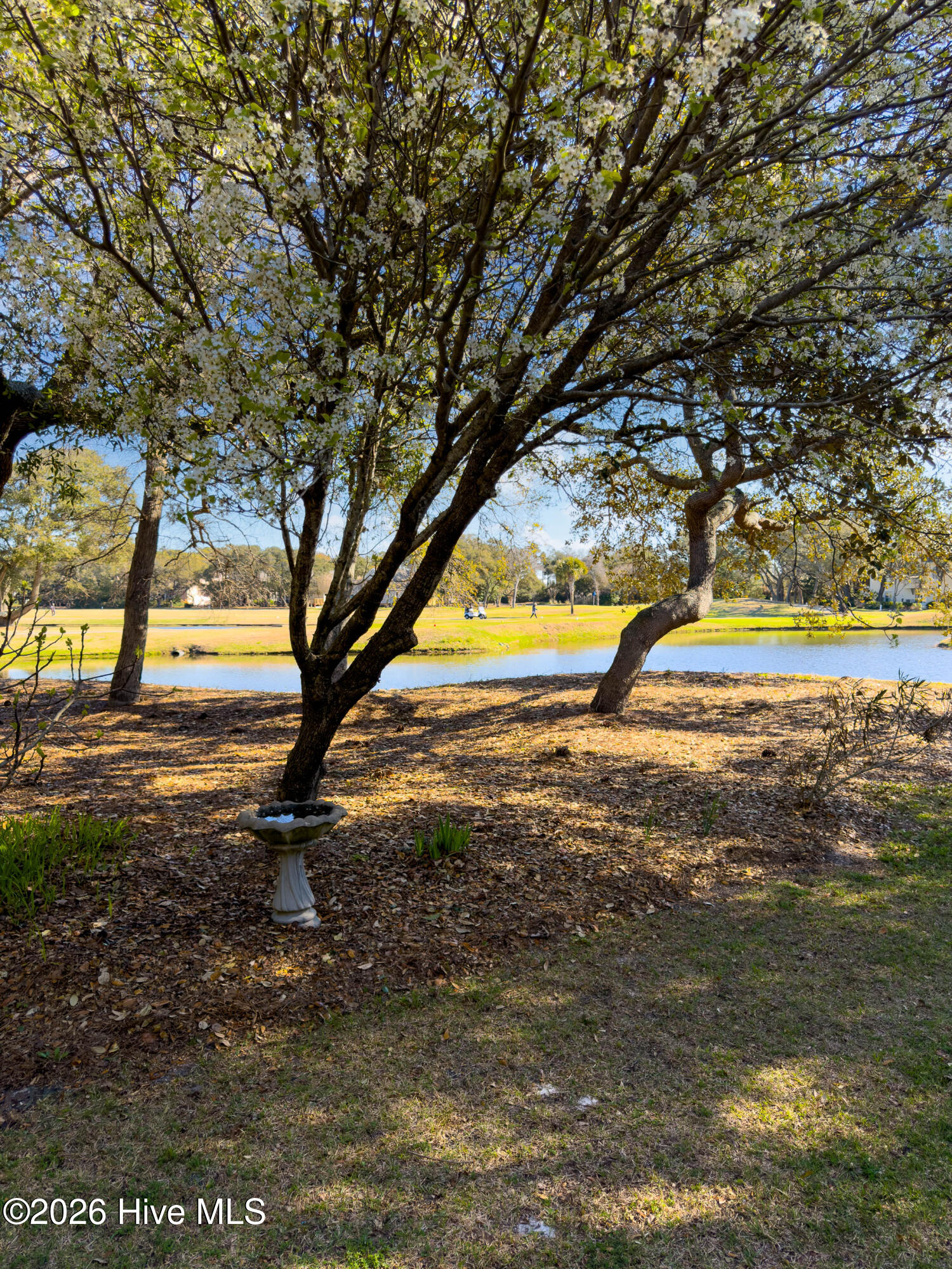 100561643 | Photo 54