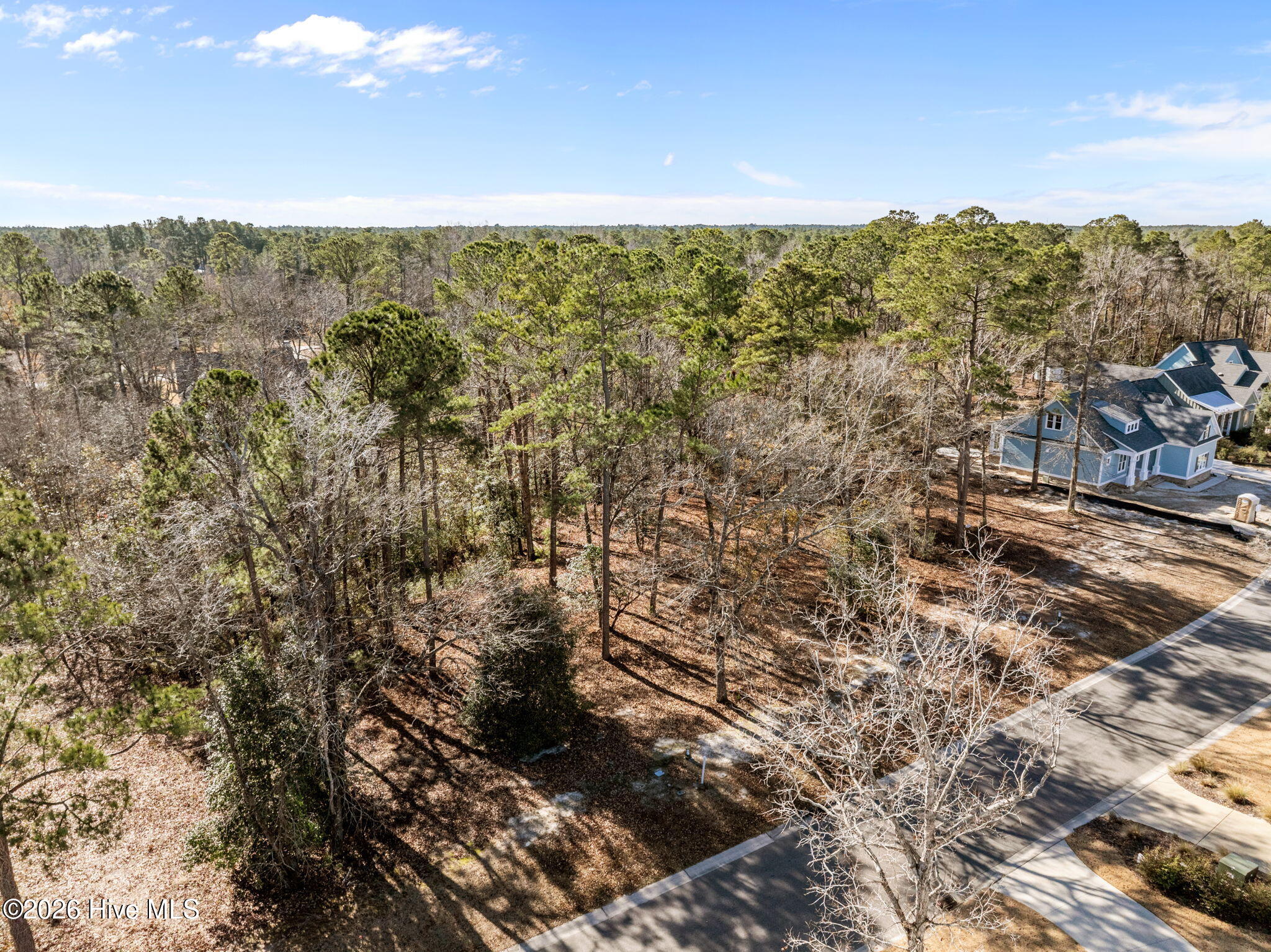 100547475 | Photo 22