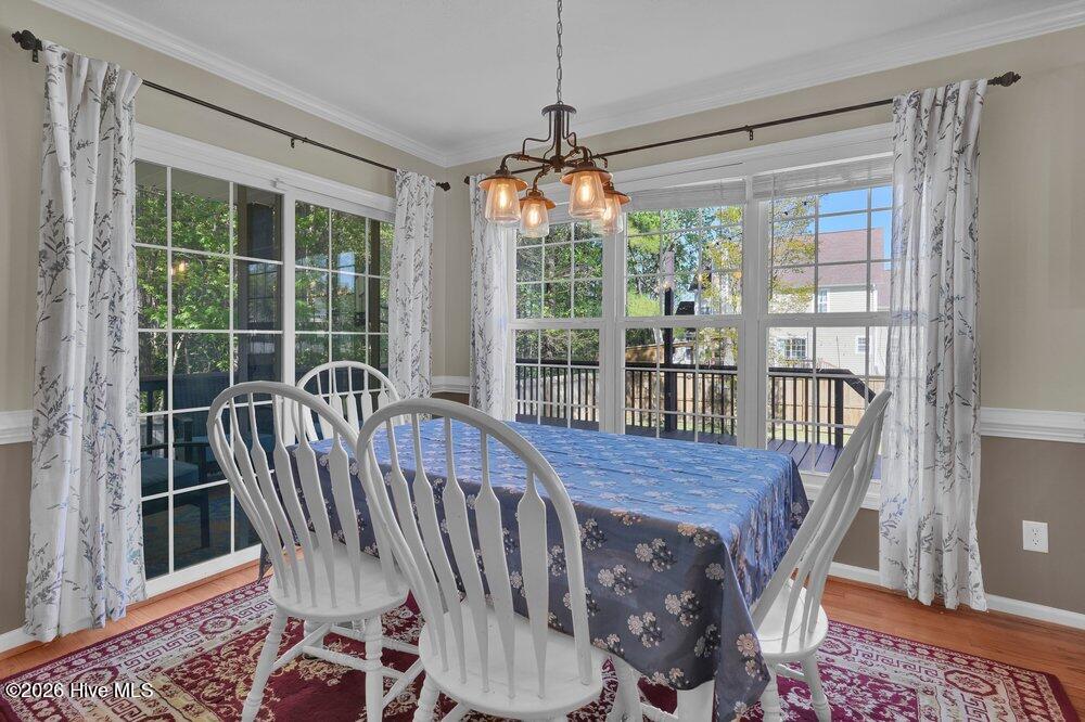 100567145 | Photo 17