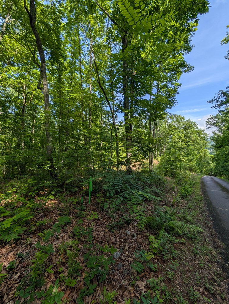 Exterior photo of TR 2 Flacon, Hayesville, NC 28904. MLS: 98544677