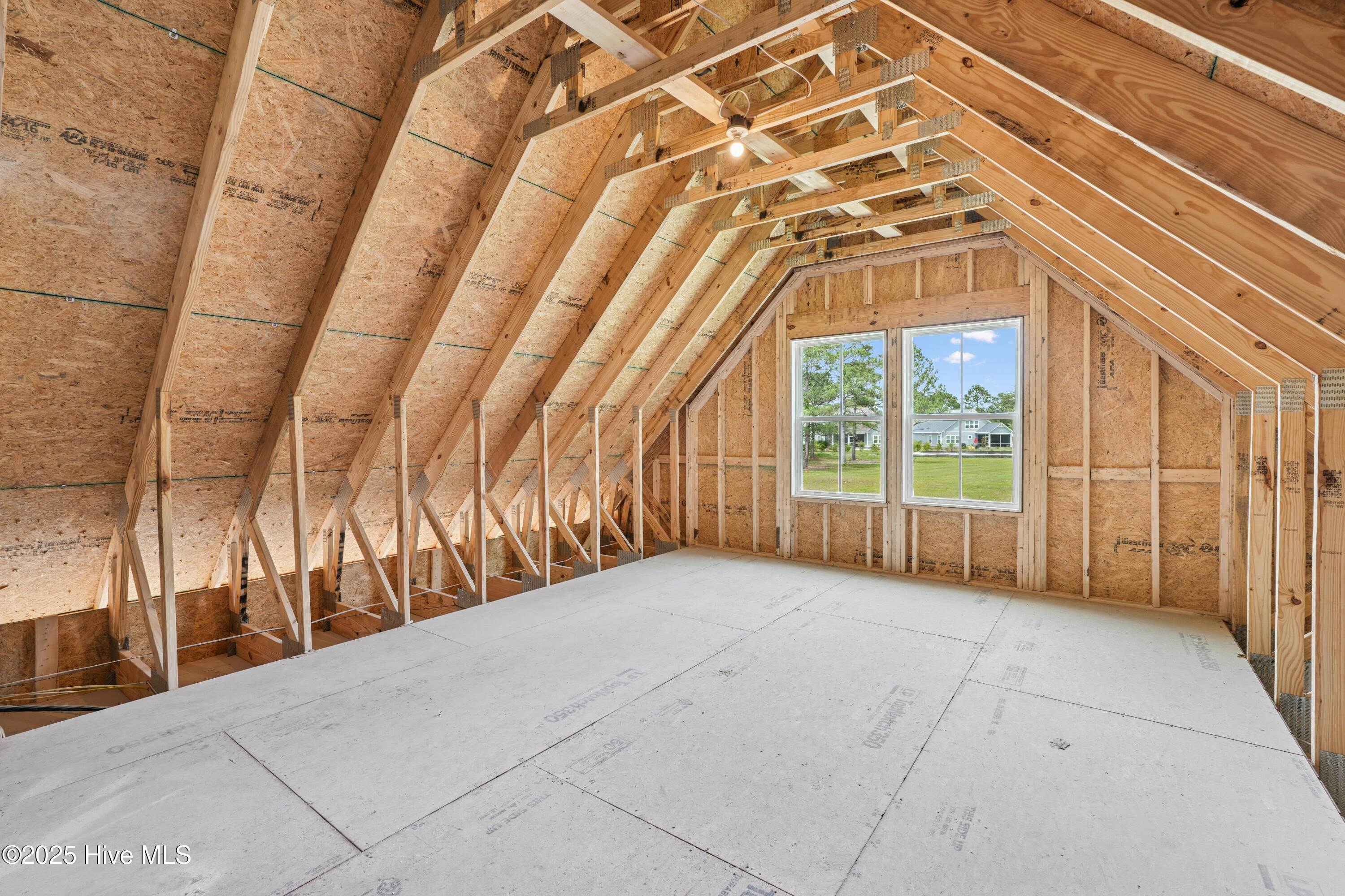 100527774 | Photo 16