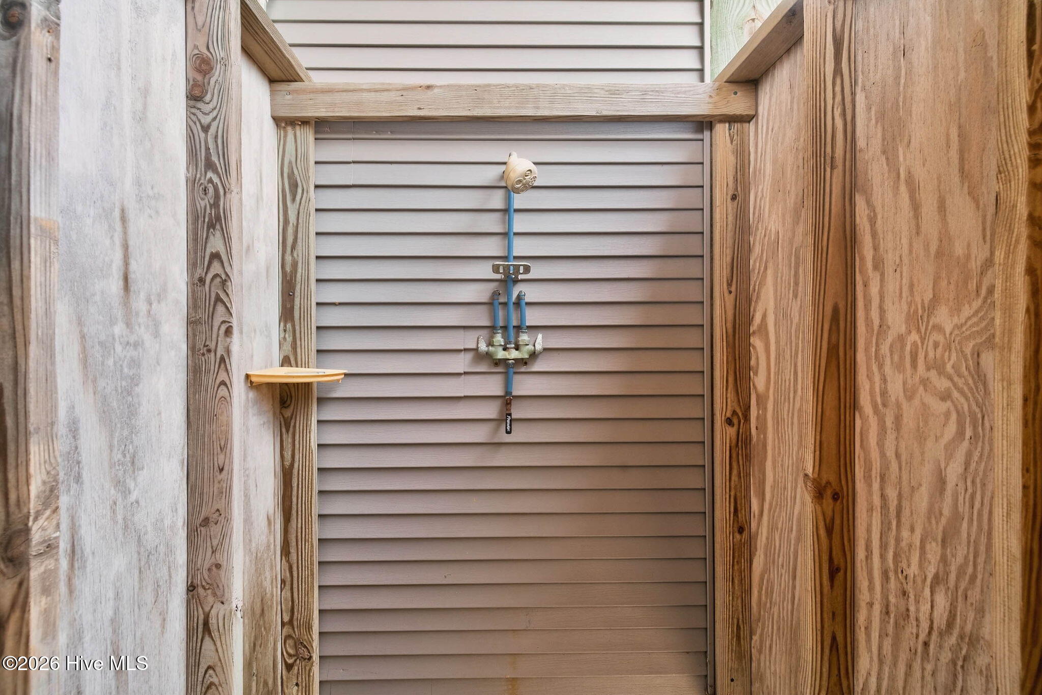 100562885 | Photo 43