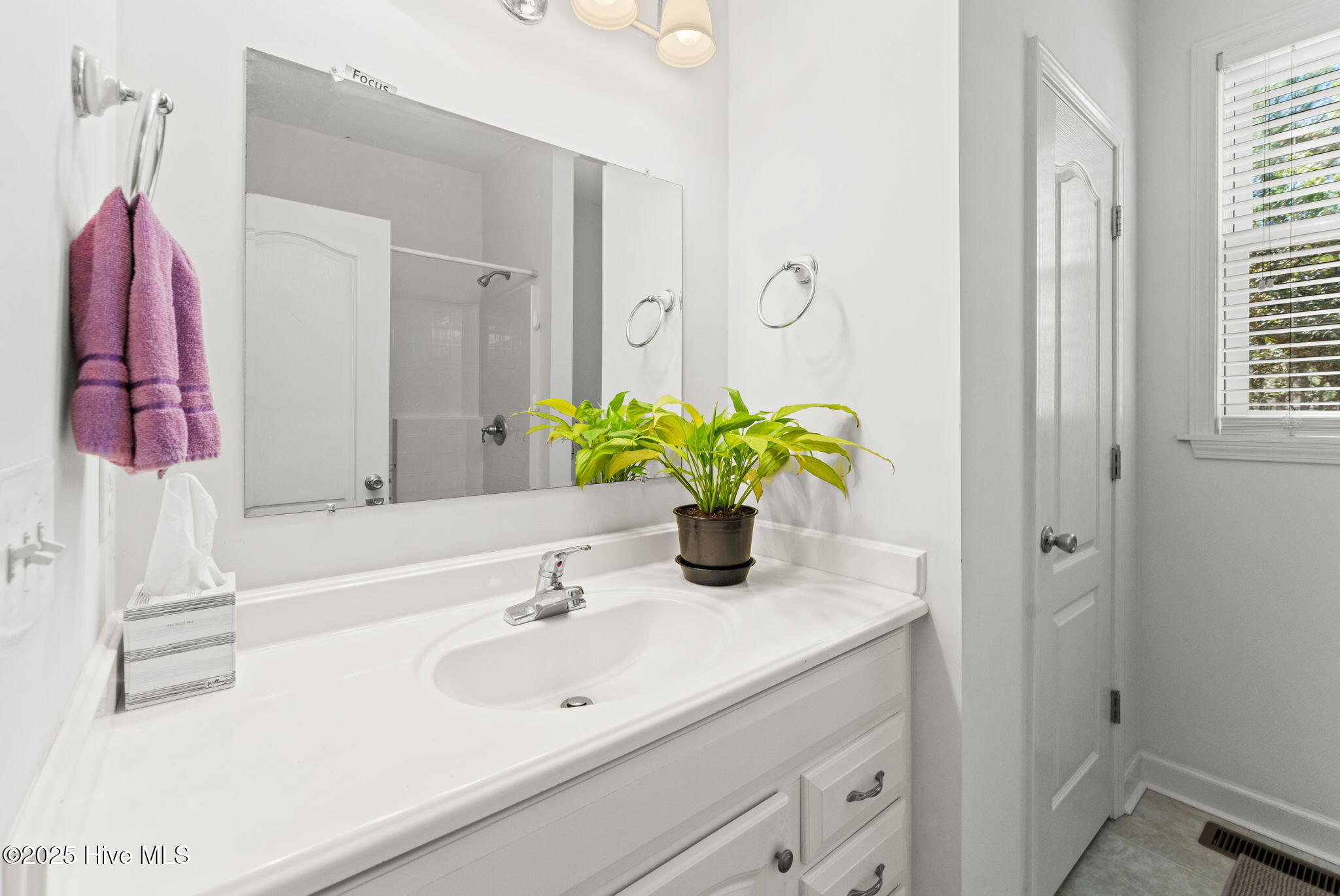 100539831 | Photo 29