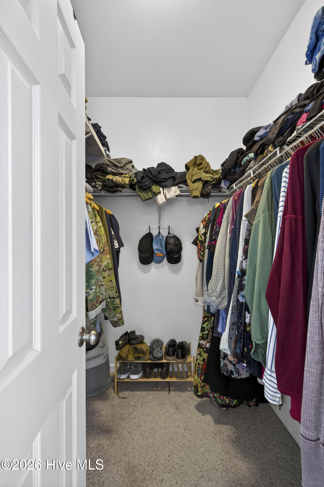 100570330 | Photo 32