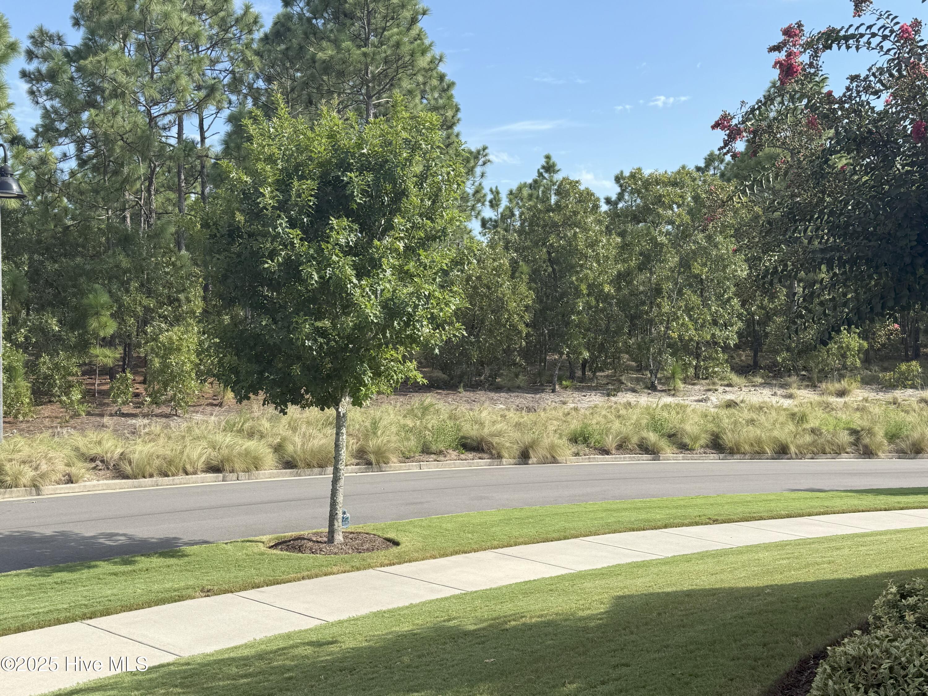 100530008 | Photo 15