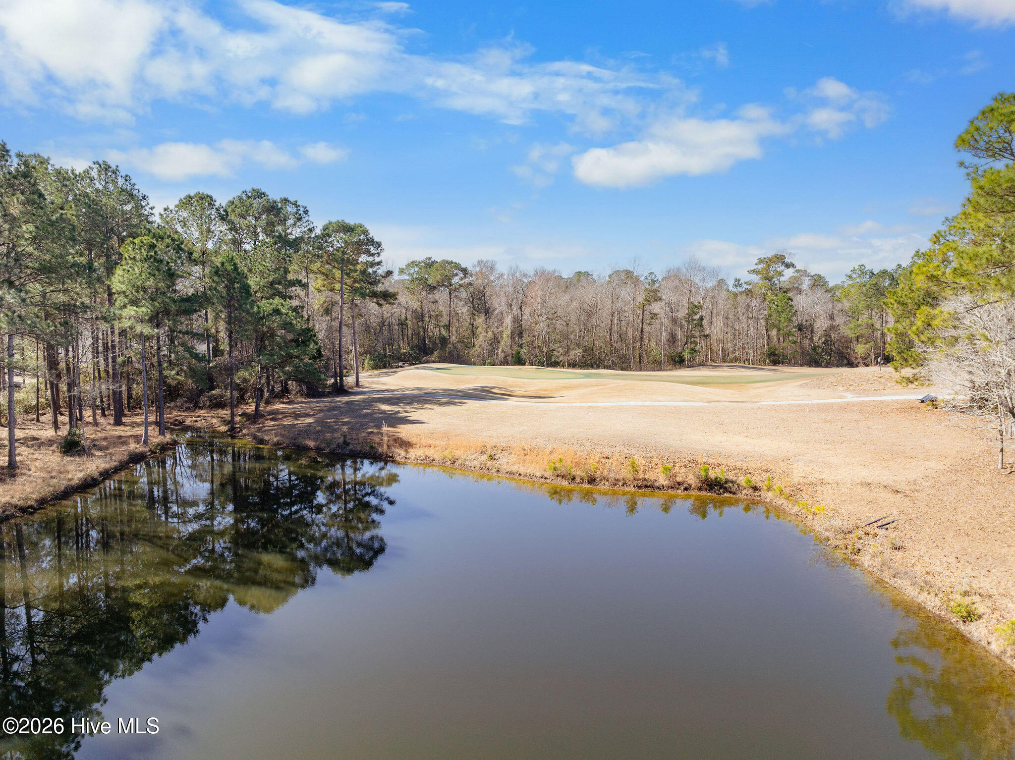 100557018 | Photo 69