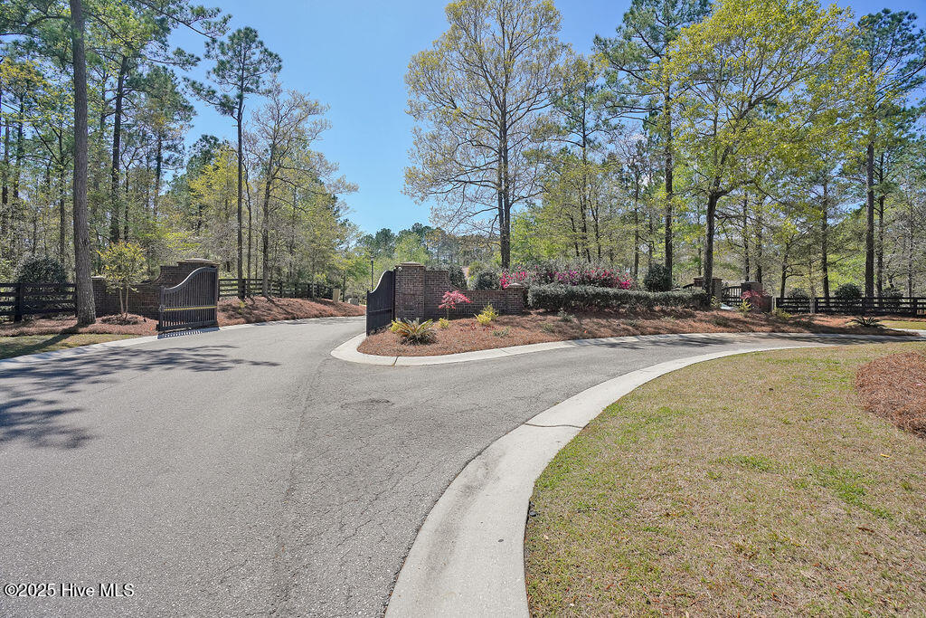 100542530 | Photo 61