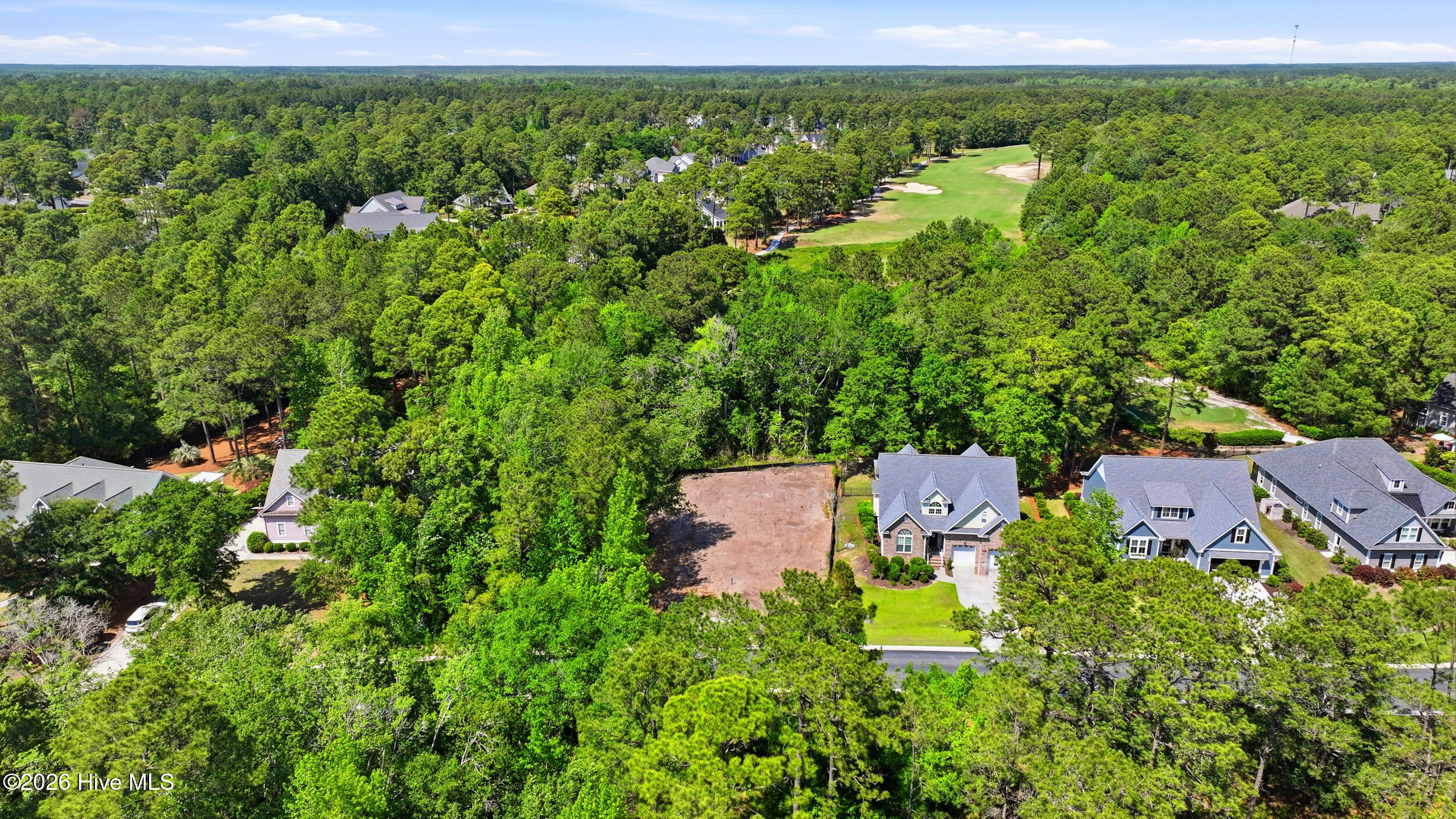 100570003 | Photo 11