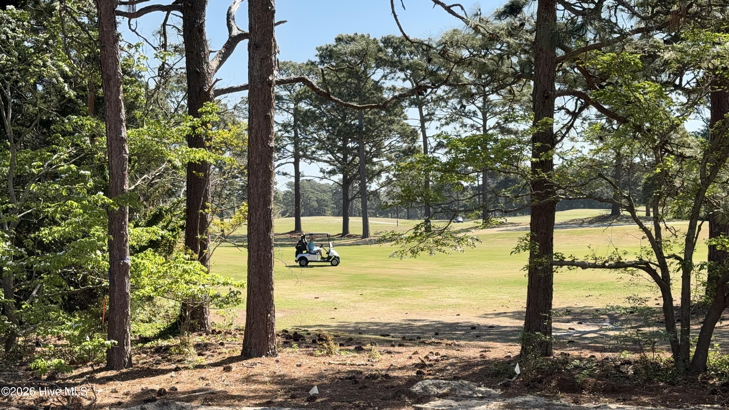 100568393 | Photo 21