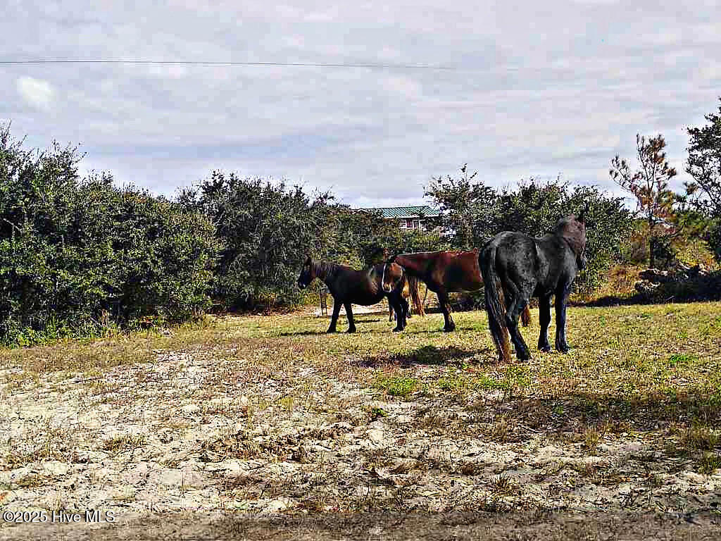 Homes for sale in Corolla, NC | 2126 Sandpiper Rd, Corolla, NC 27927 | MLS# 100539004