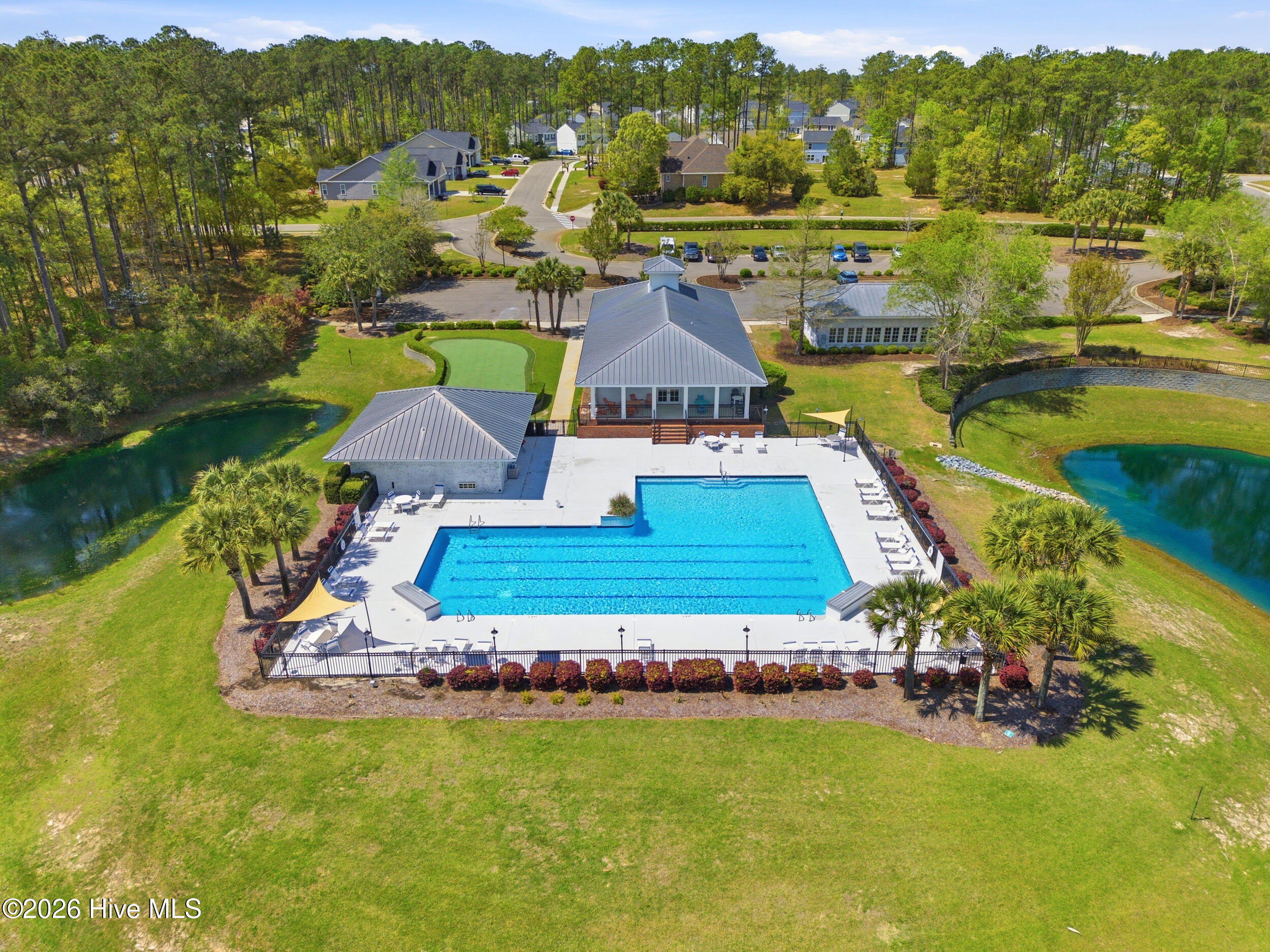 100565948 | Photo 49