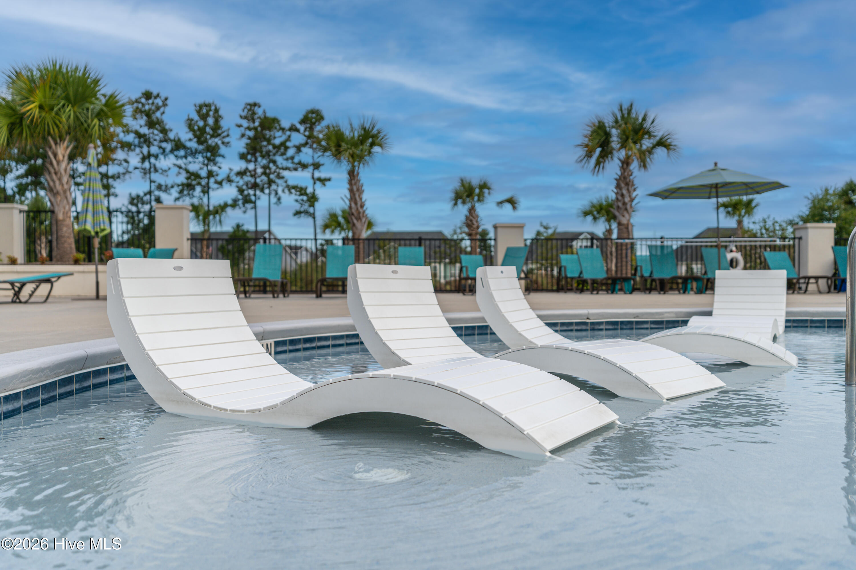 100556284 | Photo 49