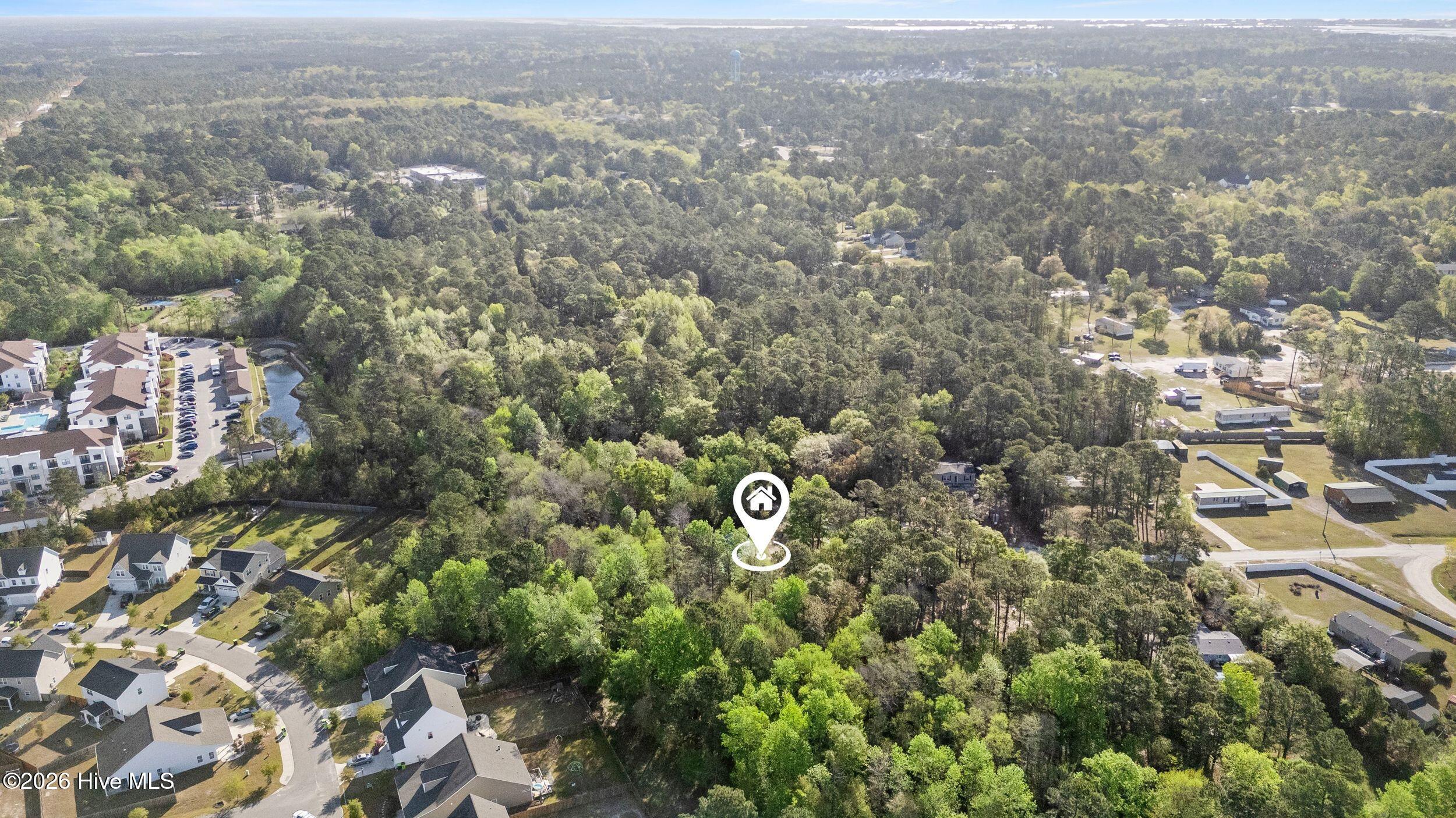 100566039 | Photo 24