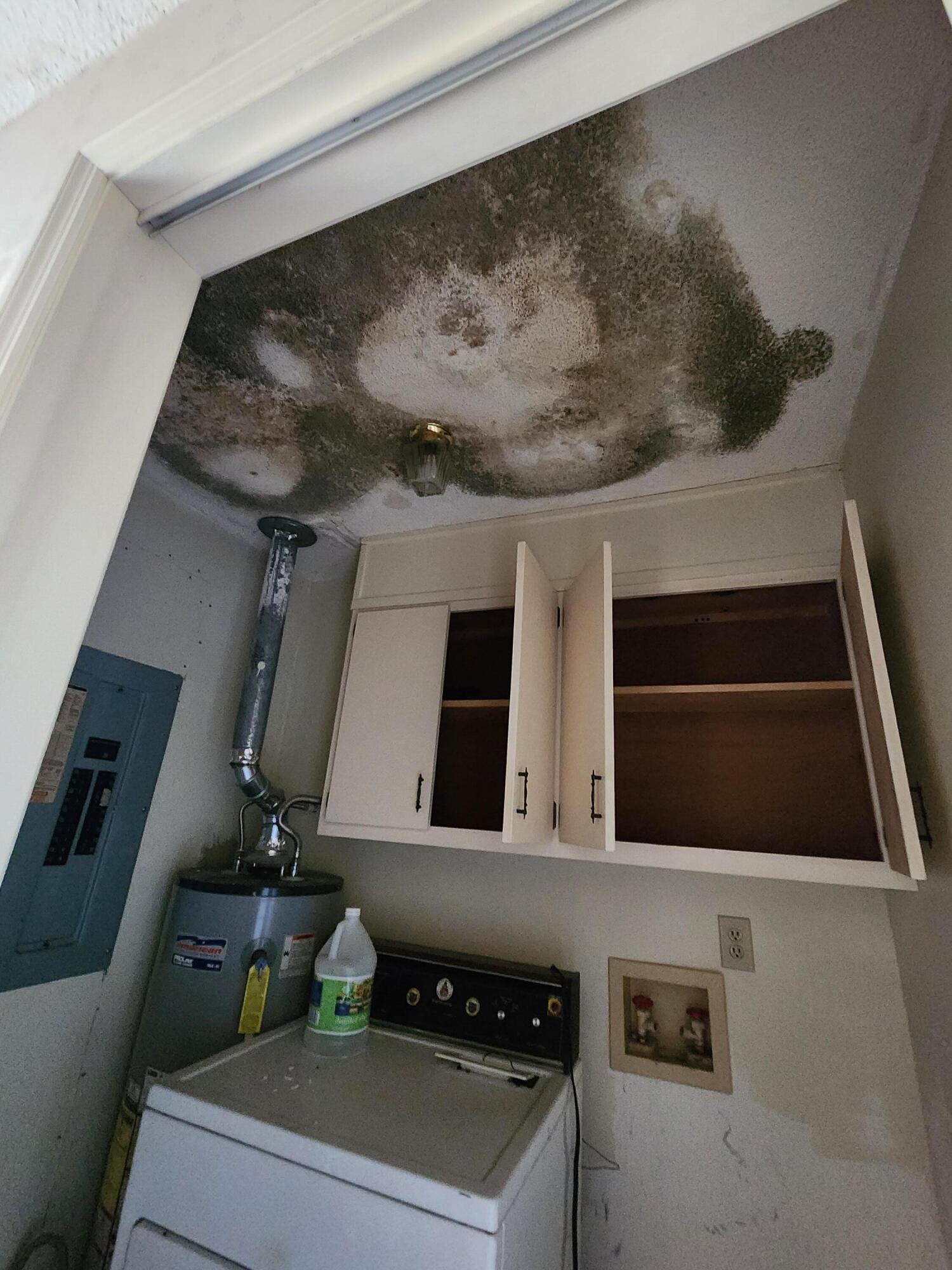 385 W Trippe Street, Harlem, GA, 30814