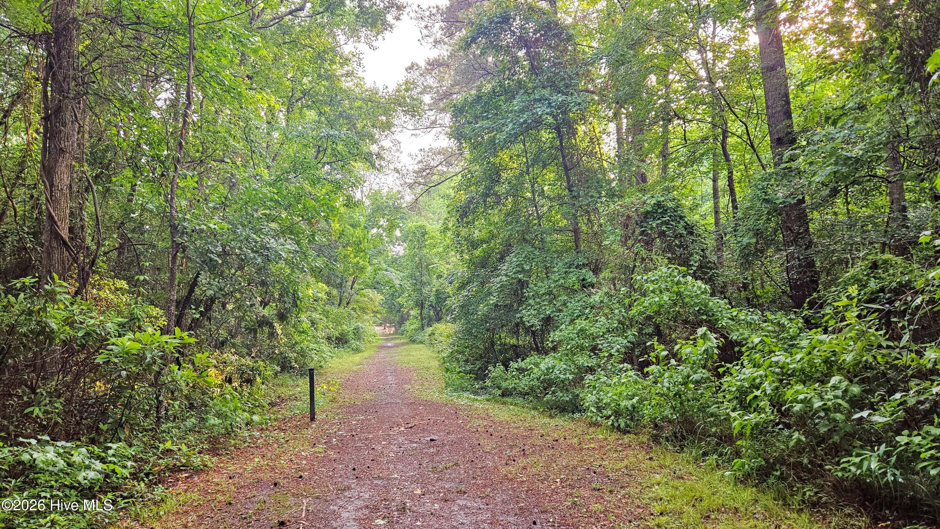 100558240 | Photo 52