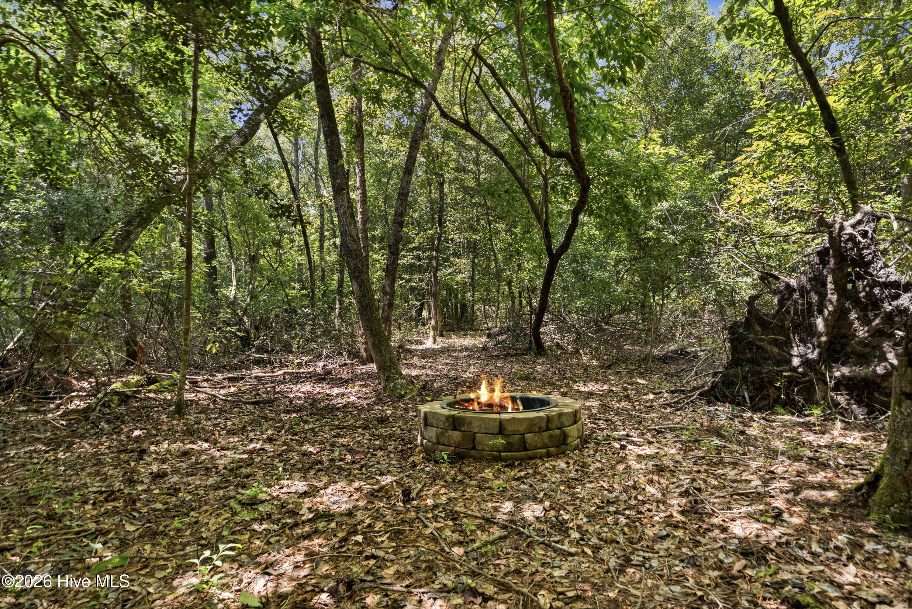 100555595 | Photo 41