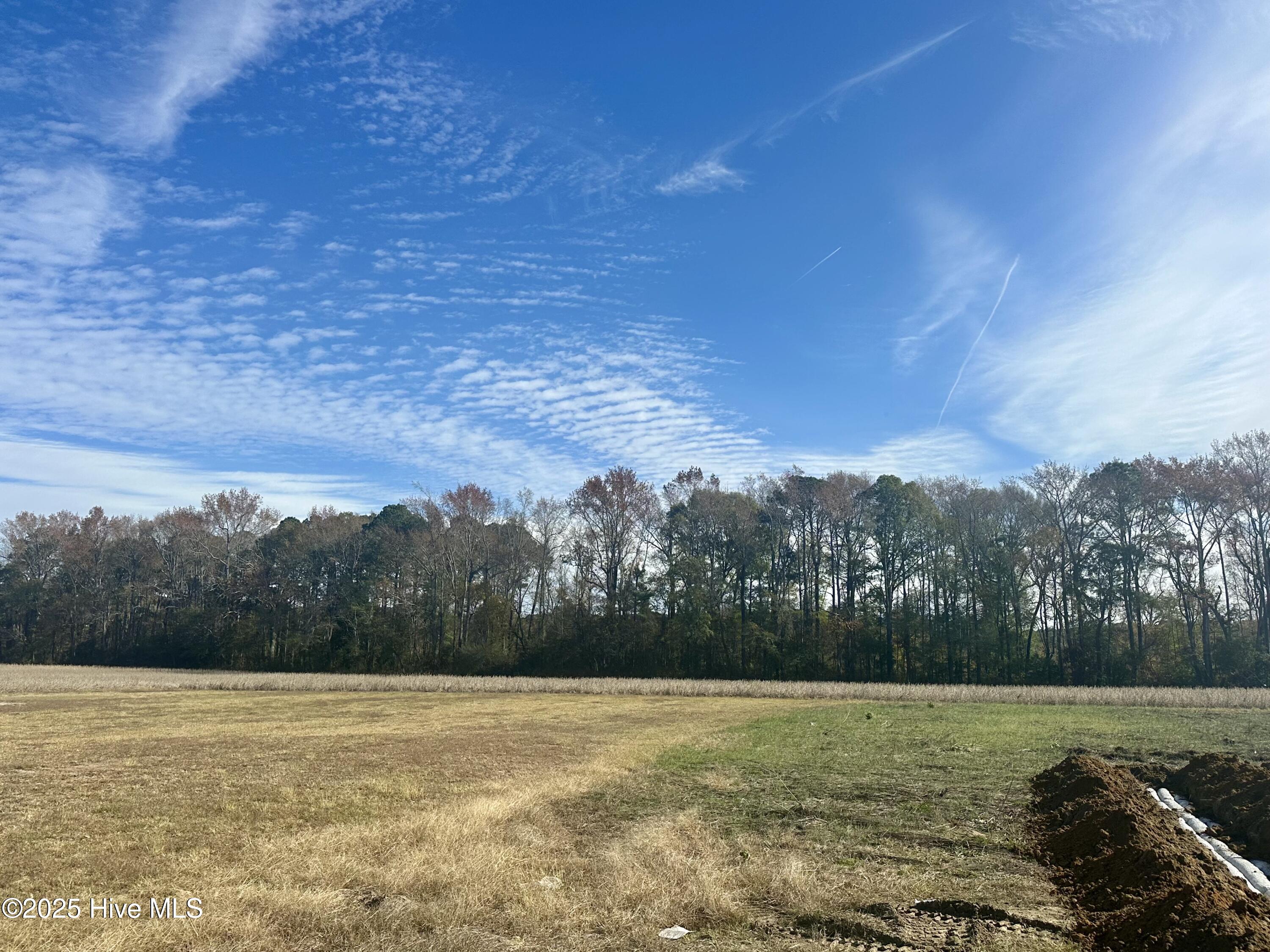 Homes for sale in Fremont, NC | 1448 Union Grove Church Rd, Fremont, NC 27830 | MLS# 100541174