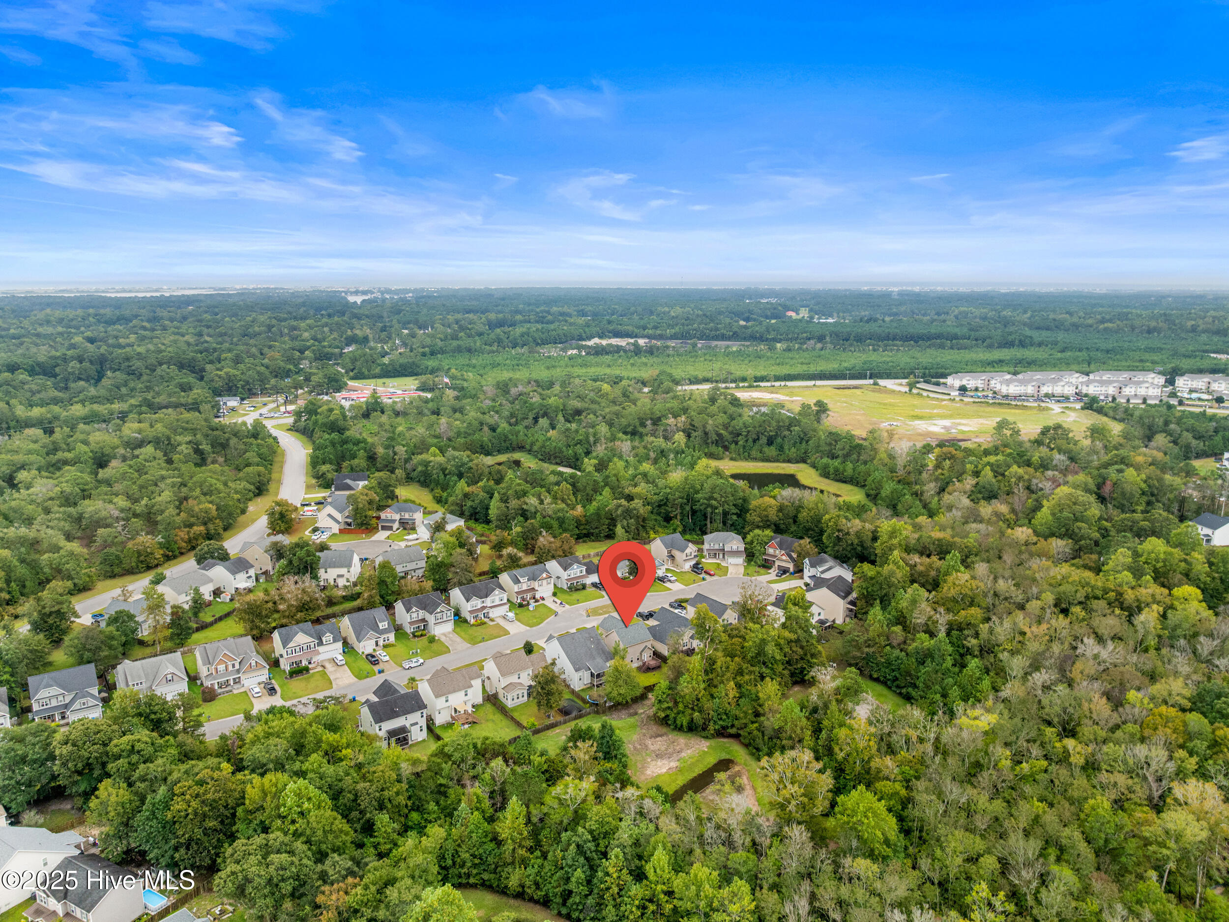 100533825 | Photo 51