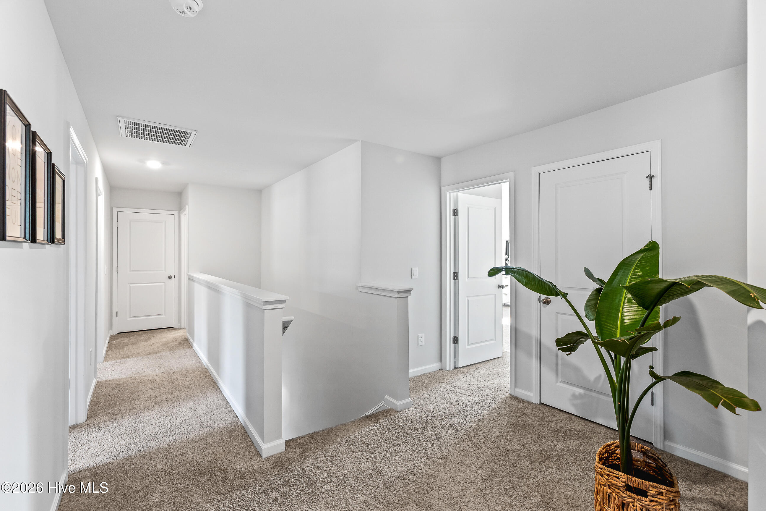 100558973 | Photo 15