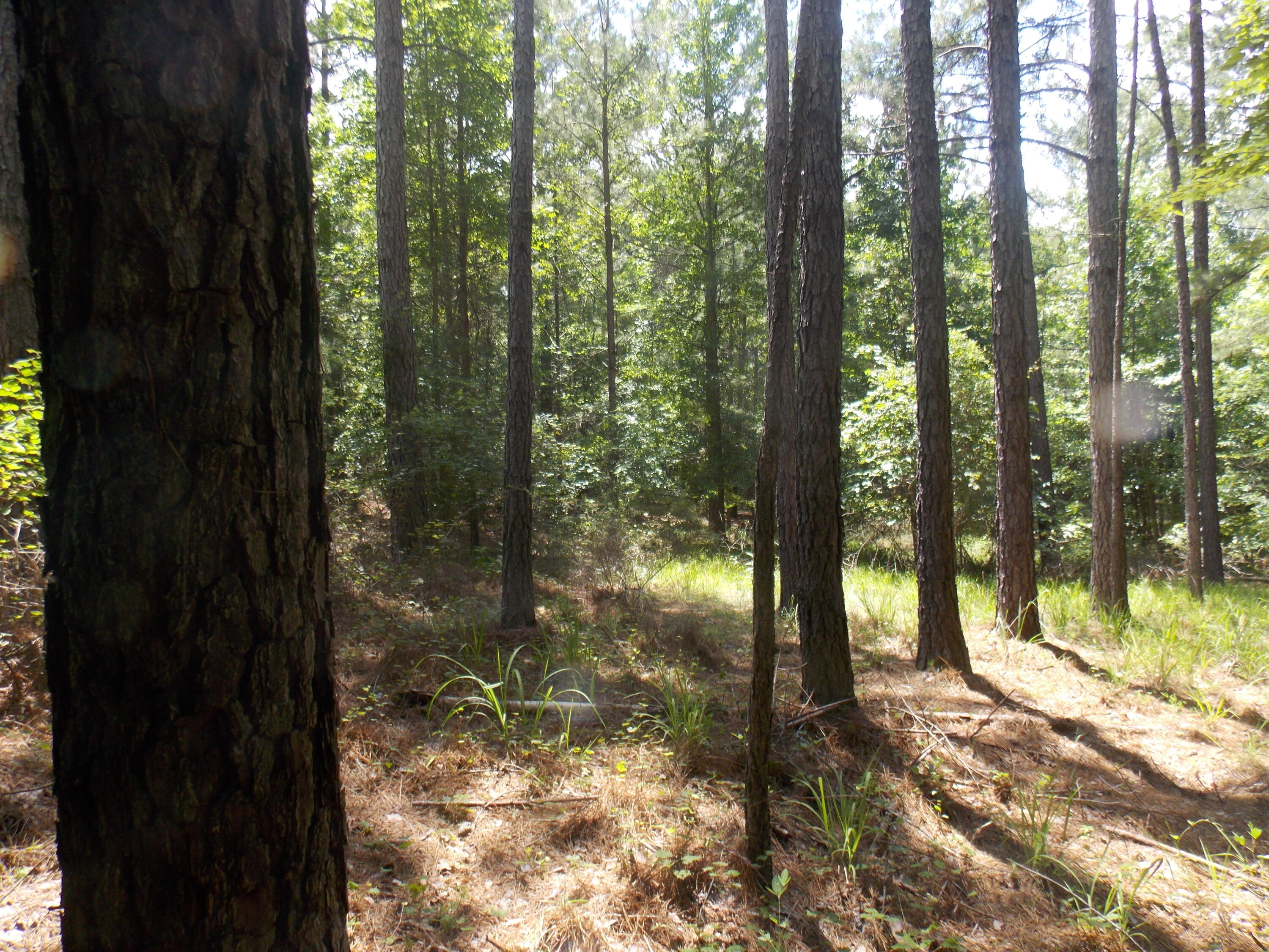 Homes for sale in Tignall, GA | 1054 Pine Point Ln, Tignall, GA 30668 | MLS# 543336