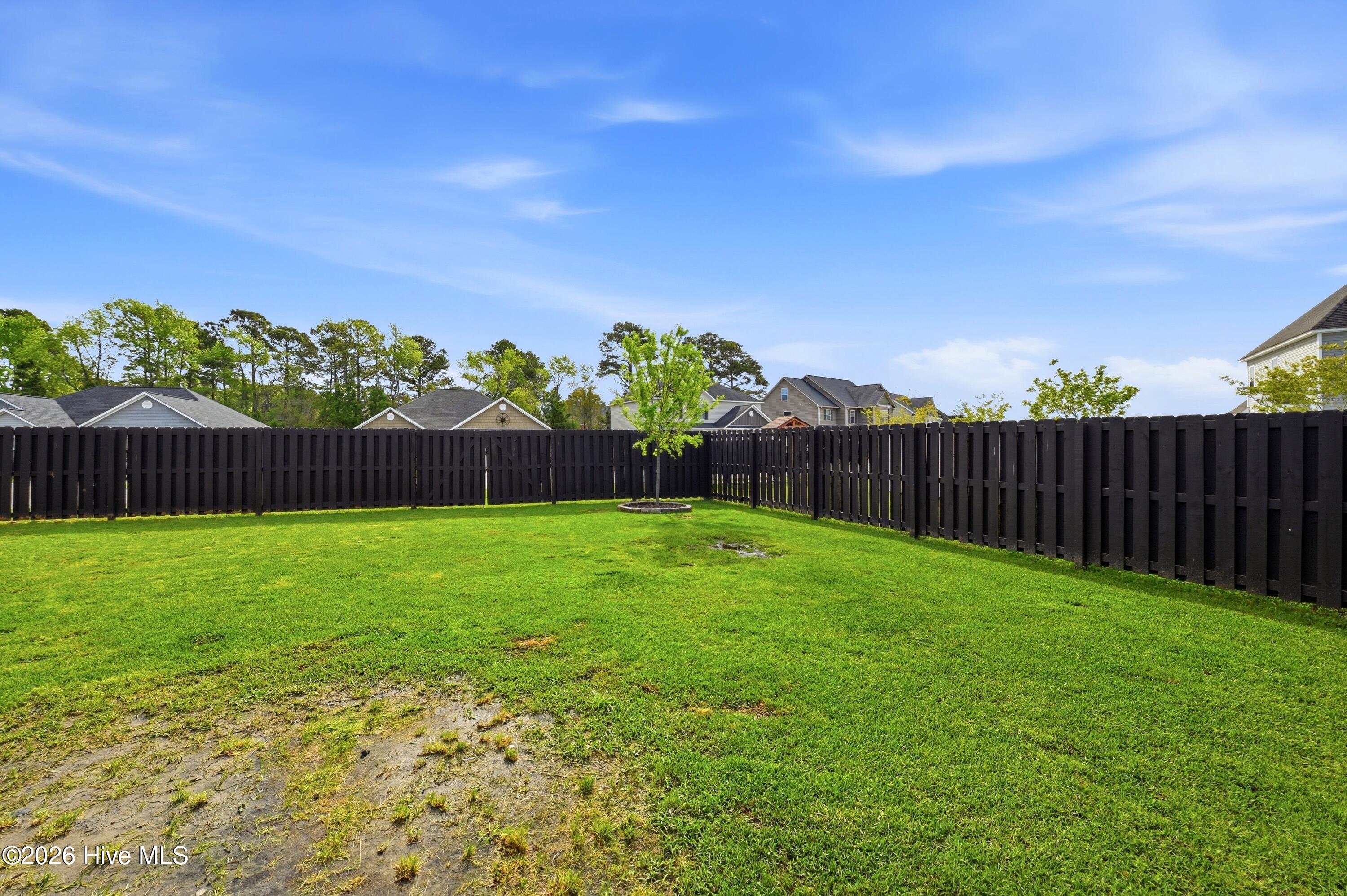 100565426 | Photo 41