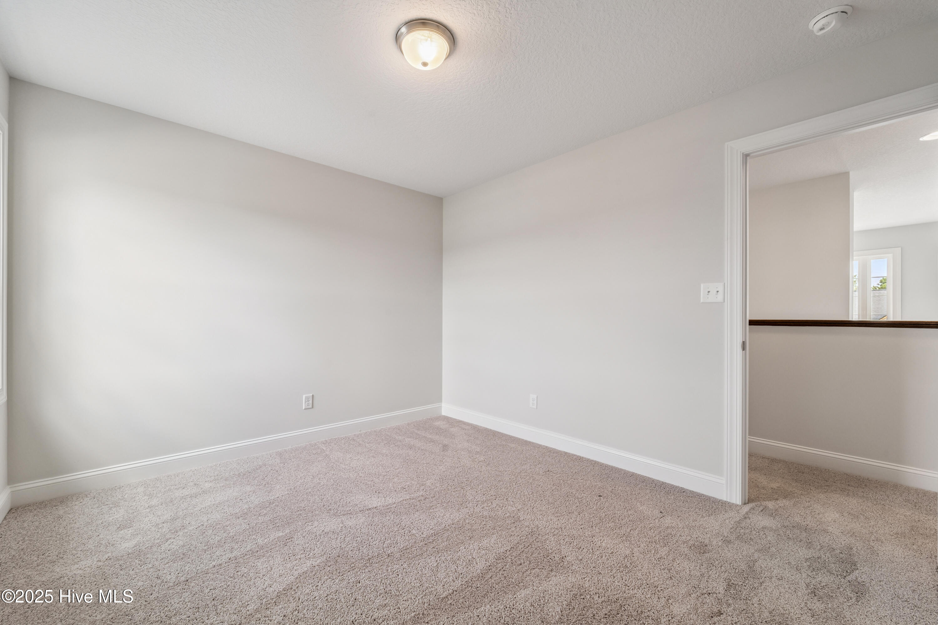 100505729 | Photo 35