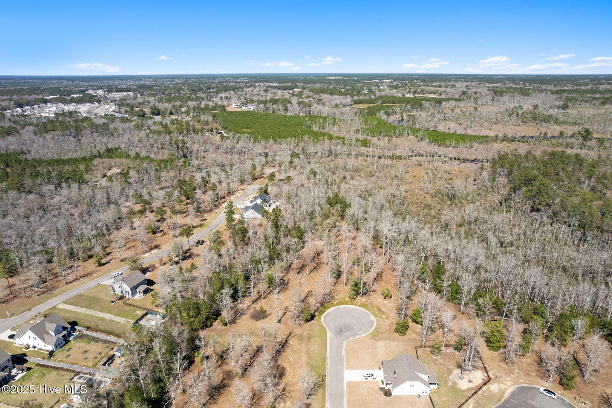 100546353 | Photo 17