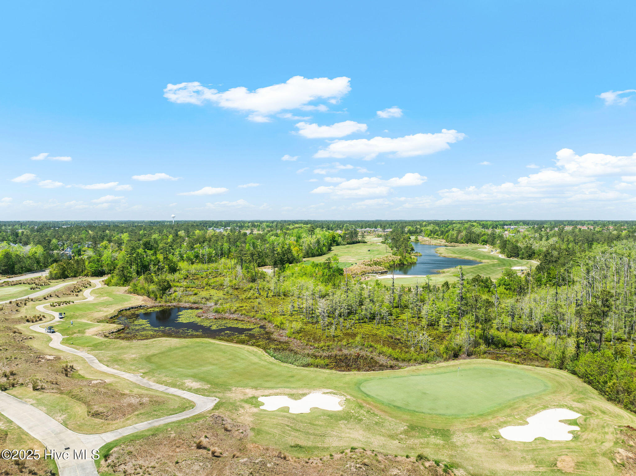 100518034 | Photo 66