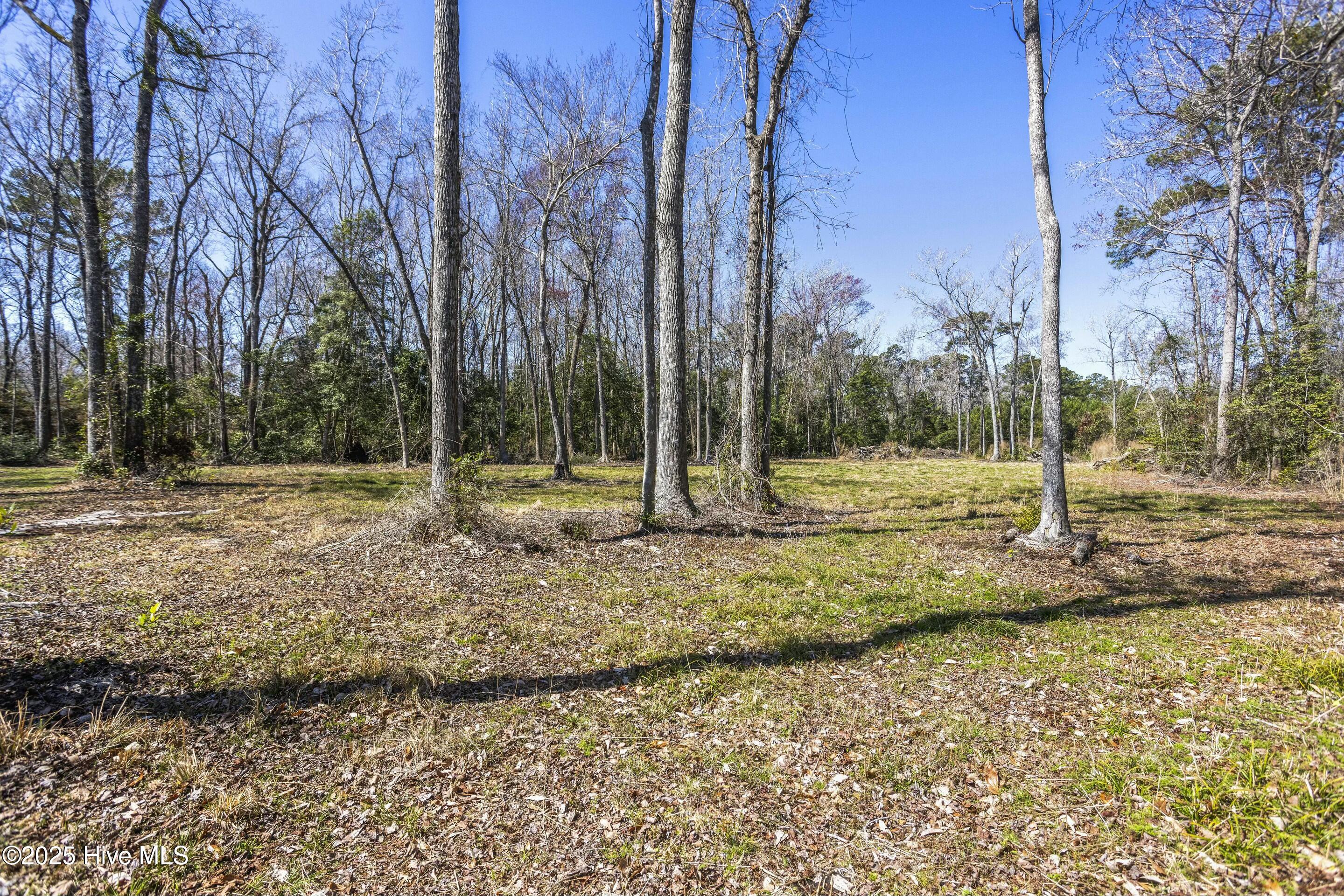 100495483 | Photo 30