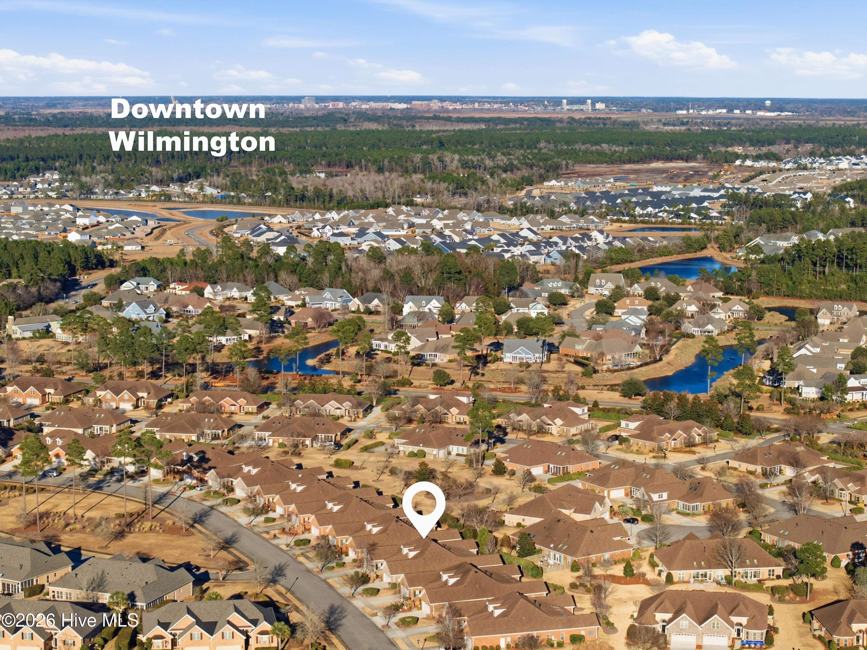 100552646 | Photo 35